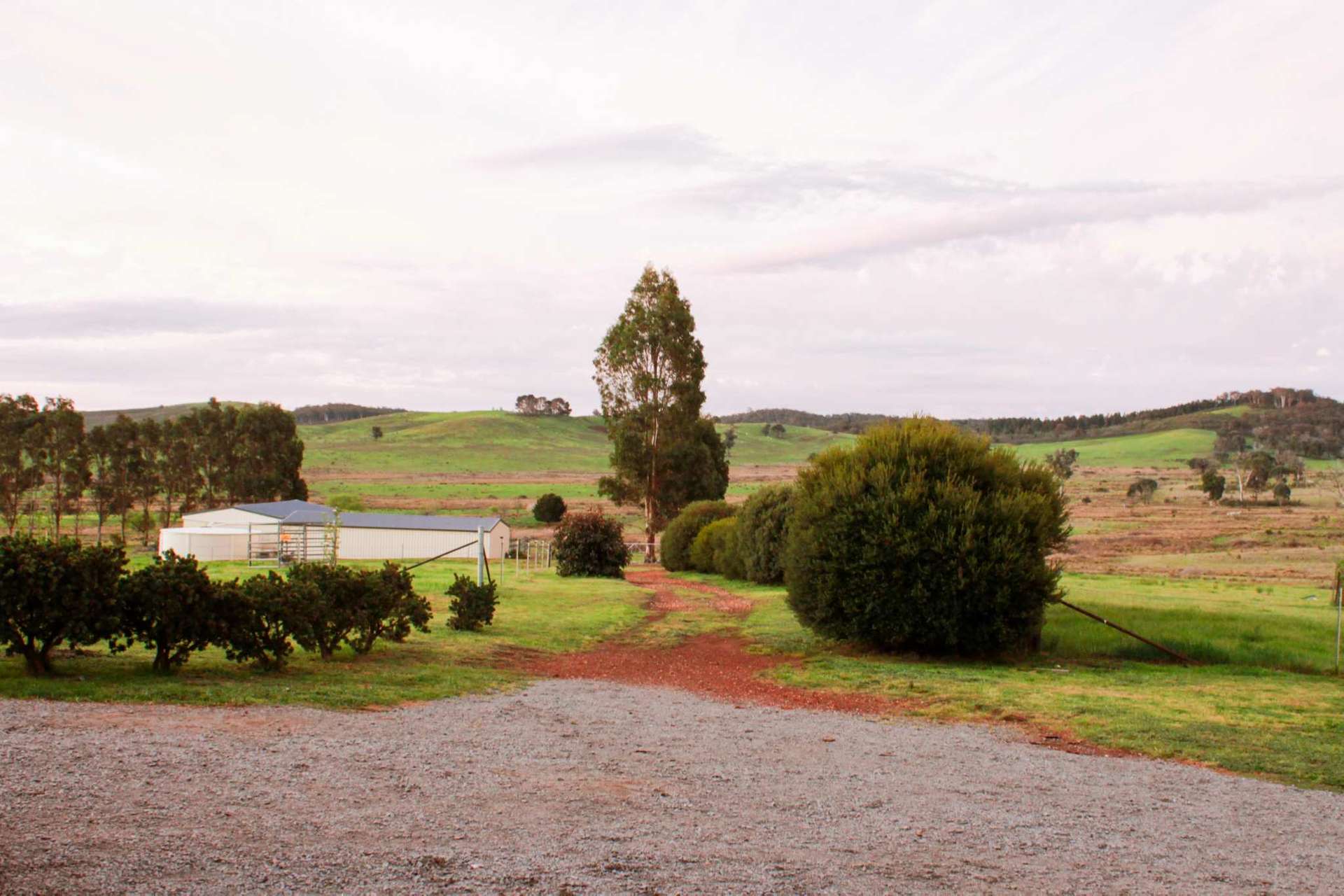 2321 Rugby Road, Rugby Sold by Farmbuy.com - image 13