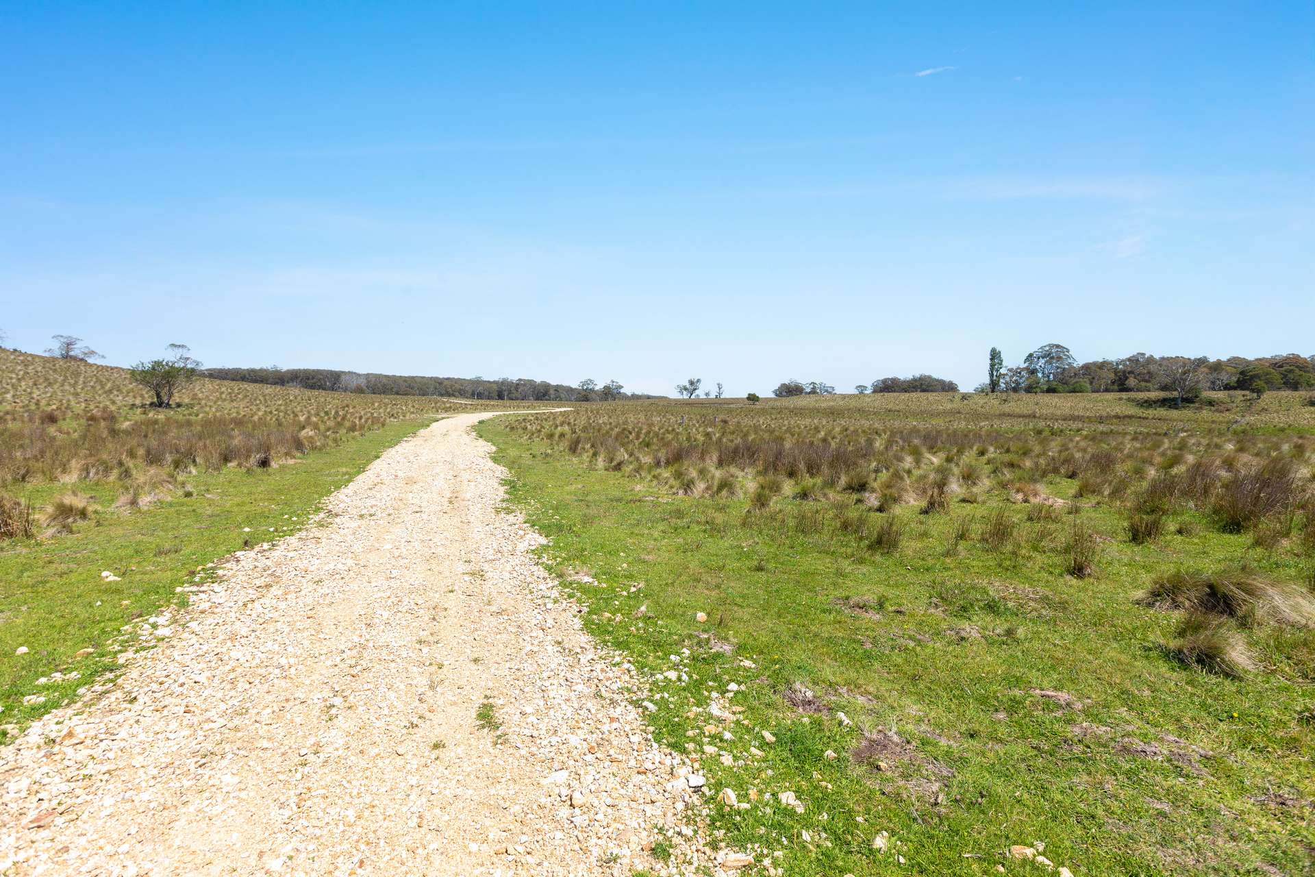 Thornleigh Coolangubra Road, Cathcart For Sale by Farmbuy.com - image 5