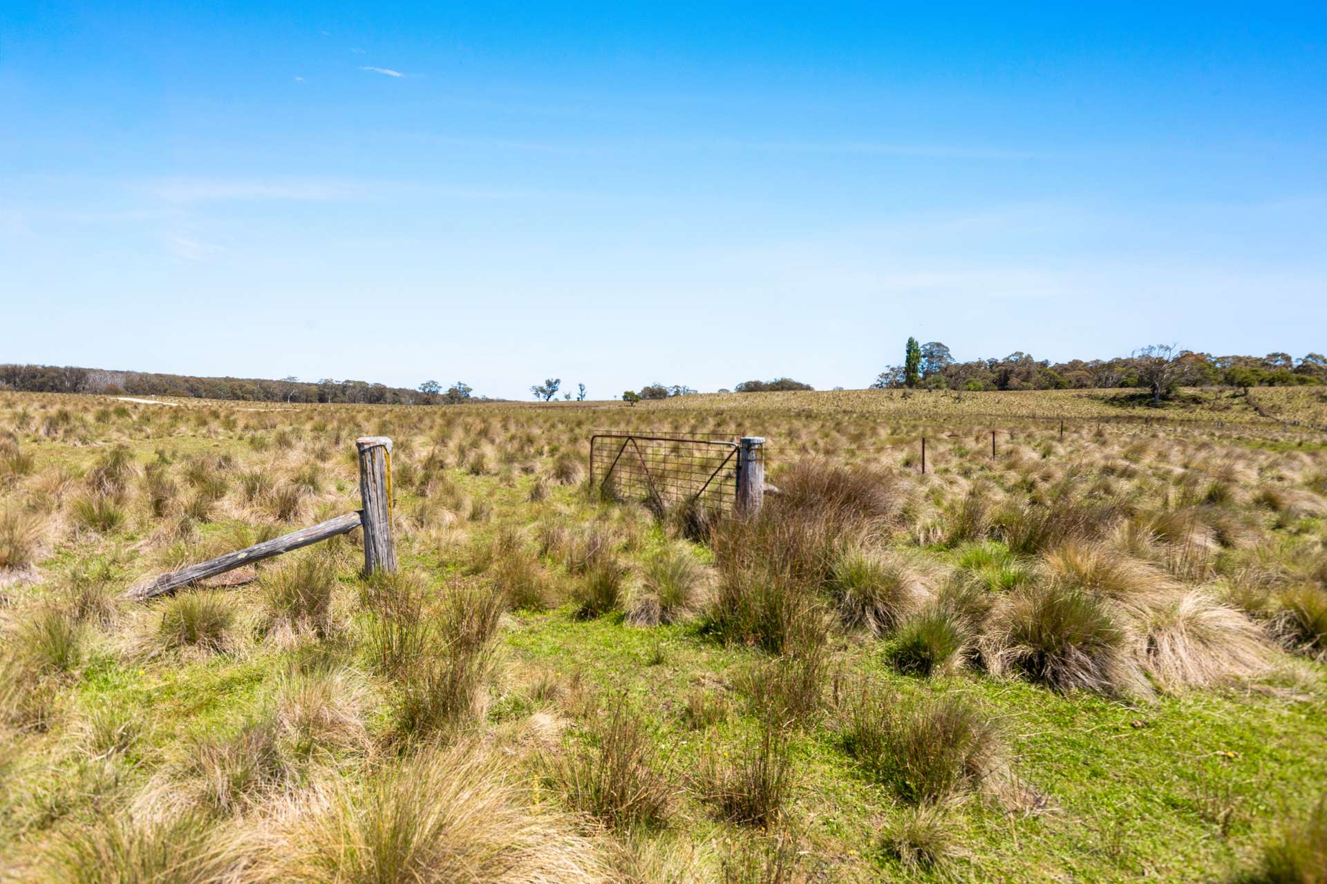 Thornleigh Coolangubra Road, Cathcart For Sale by Farmbuy.com - image 14