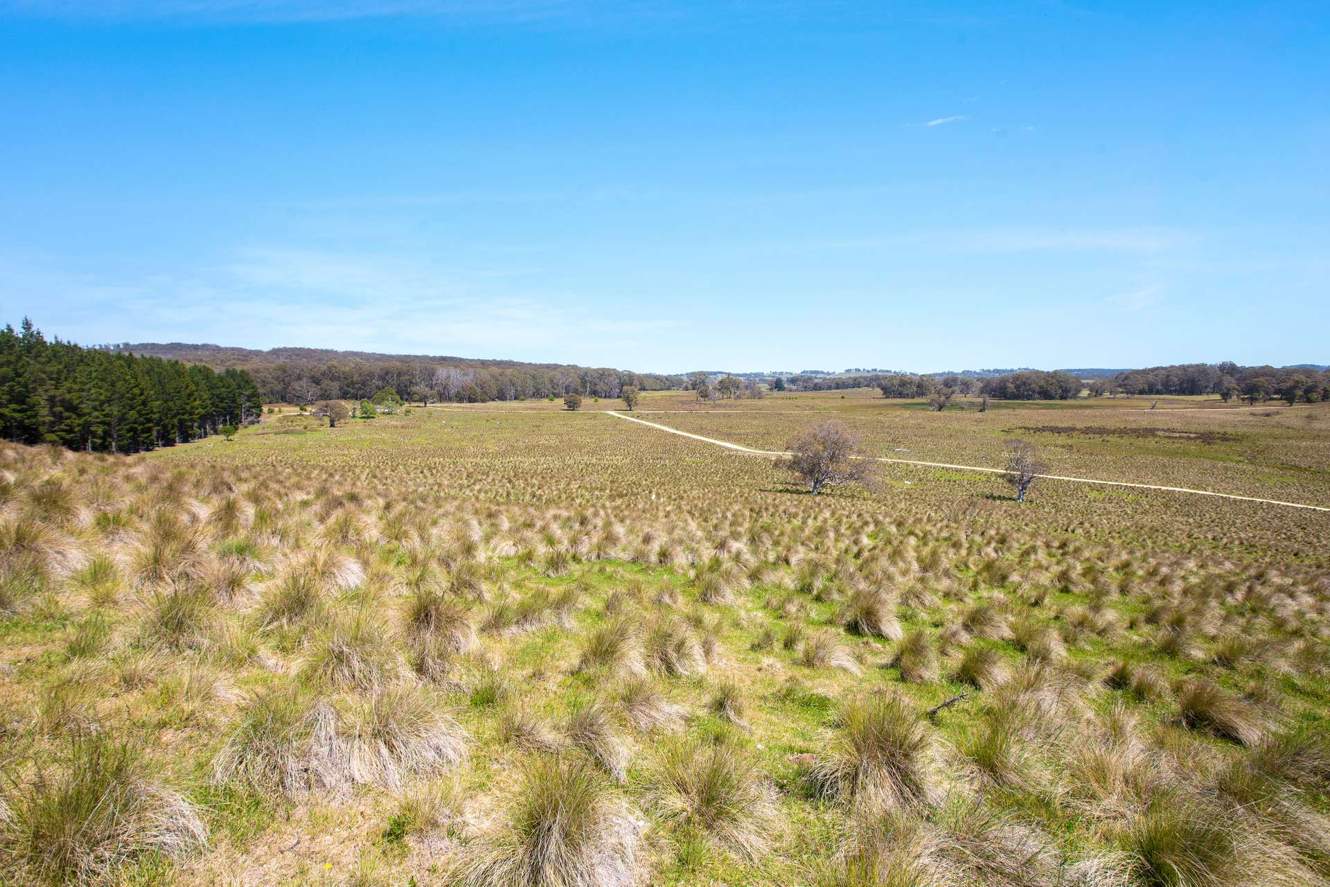 Thornleigh Coolangubra Road, Cathcart For Sale by Farmbuy.com - image 13