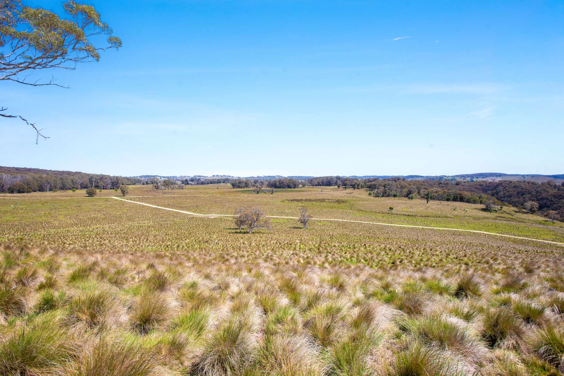 Thornleigh Coolangubra Road, Cathcart For Sale by Farmbuy.com - image 12