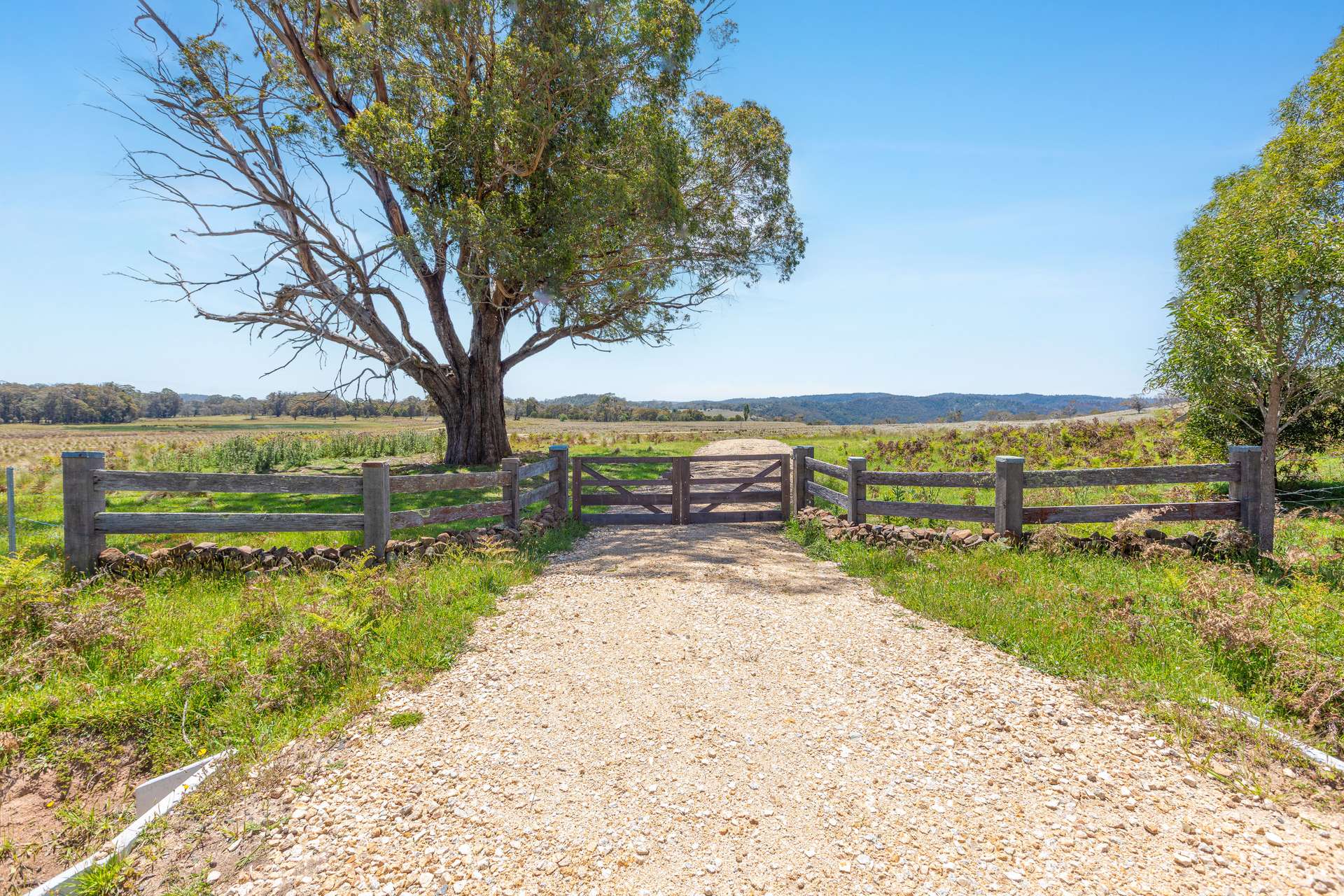 Thornleigh Coolangubra Road, Cathcart For Sale by Farmbuy.com - image 2