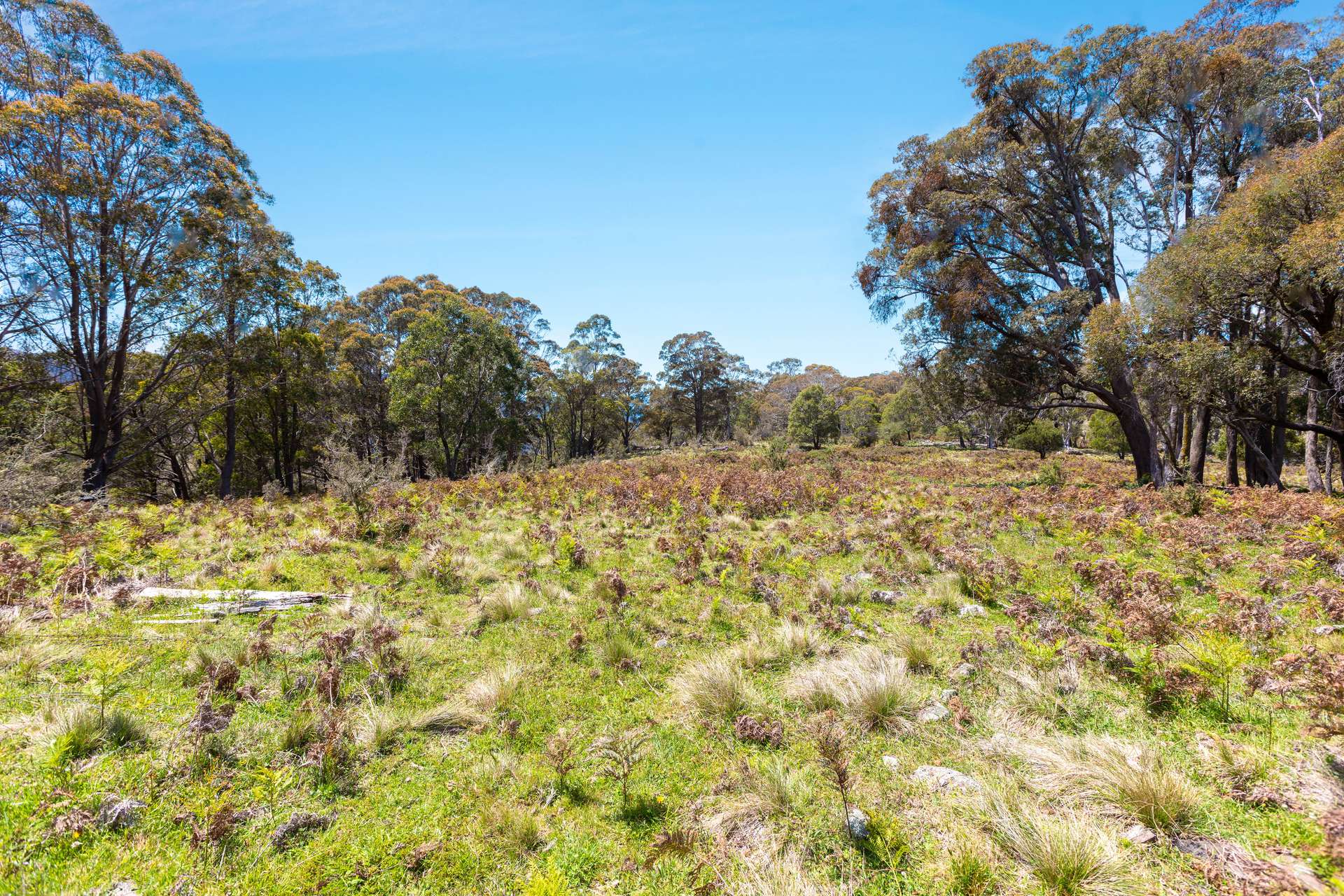 Thornleigh Coolangubra Road, Cathcart For Sale by Farmbuy.com - image 15