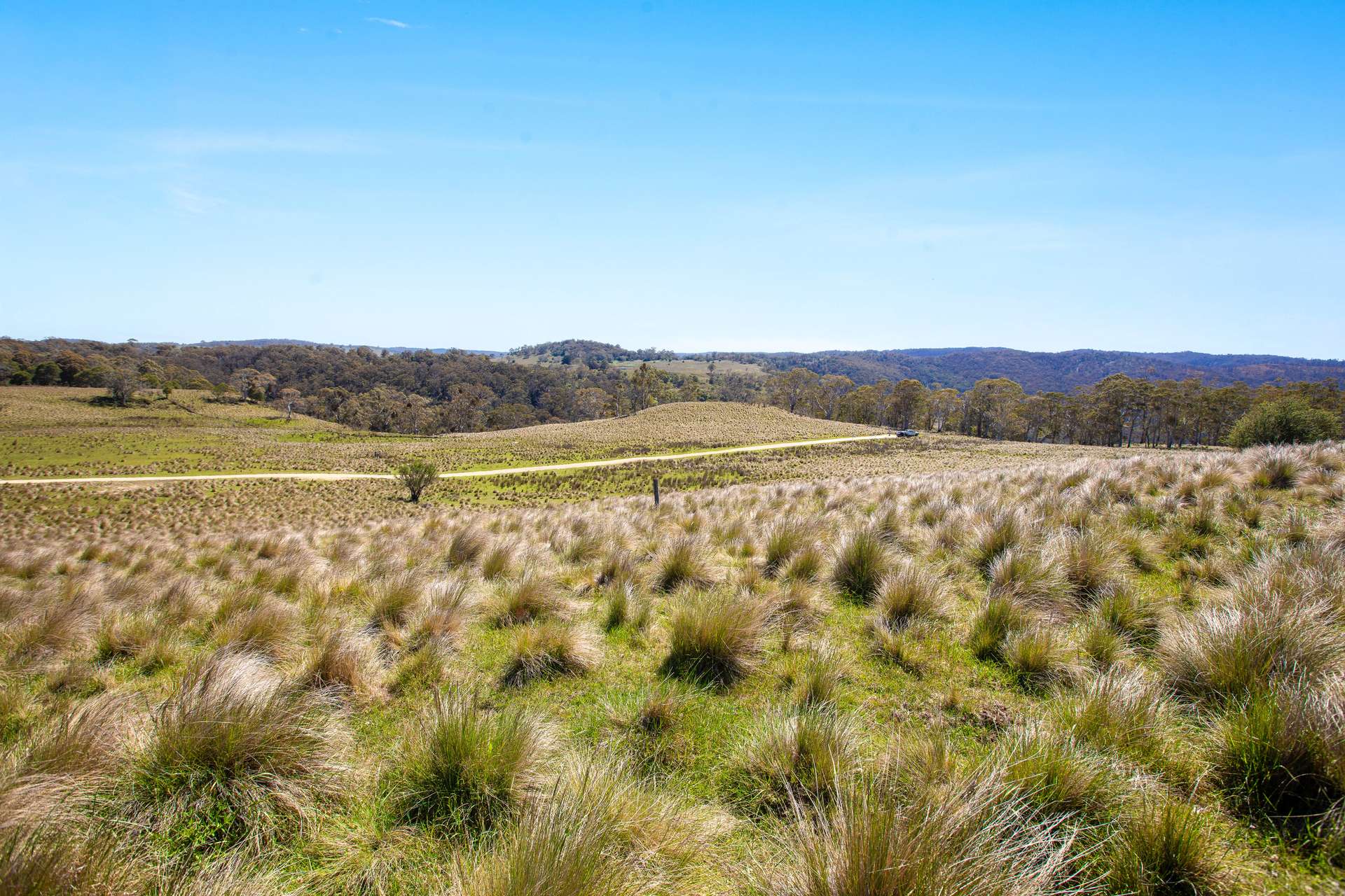 Thornleigh Coolangubra Road, Cathcart For Sale by Farmbuy.com - image 9