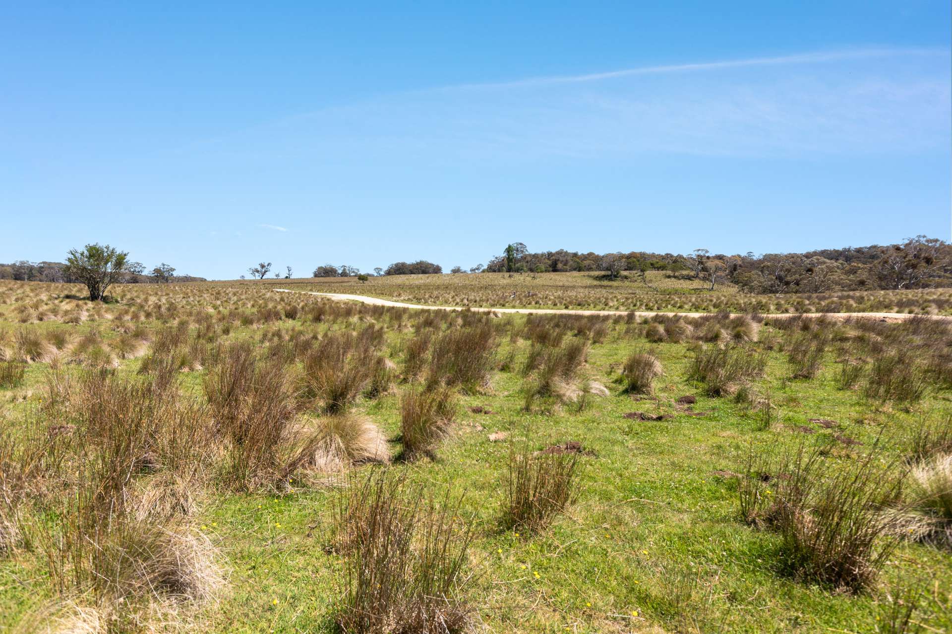 Thornleigh Coolangubra Road, Cathcart For Sale by Farmbuy.com - image 8