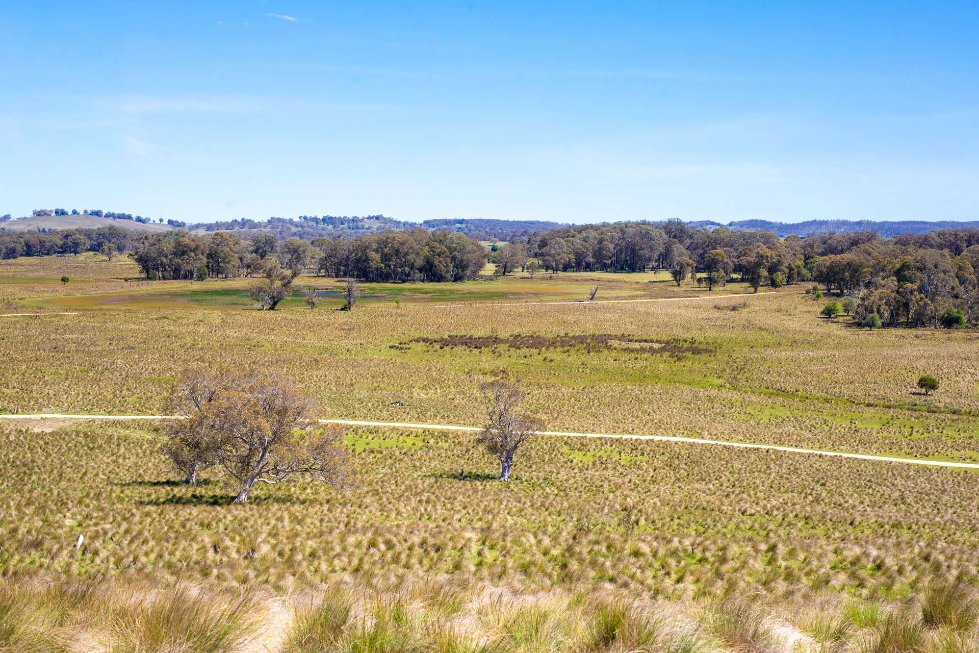 Thornleigh Coolangubra Road, Cathcart For Sale by Farmbuy.com - image 10