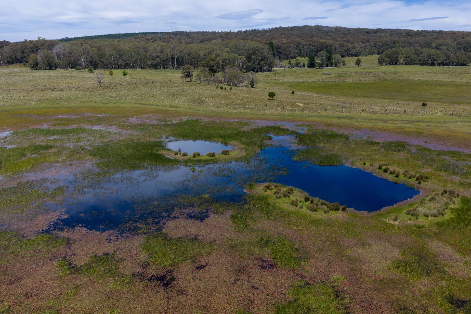 Thornleigh Coolangubra Road, Cathcart For Sale by Farmbuy.com - image 3