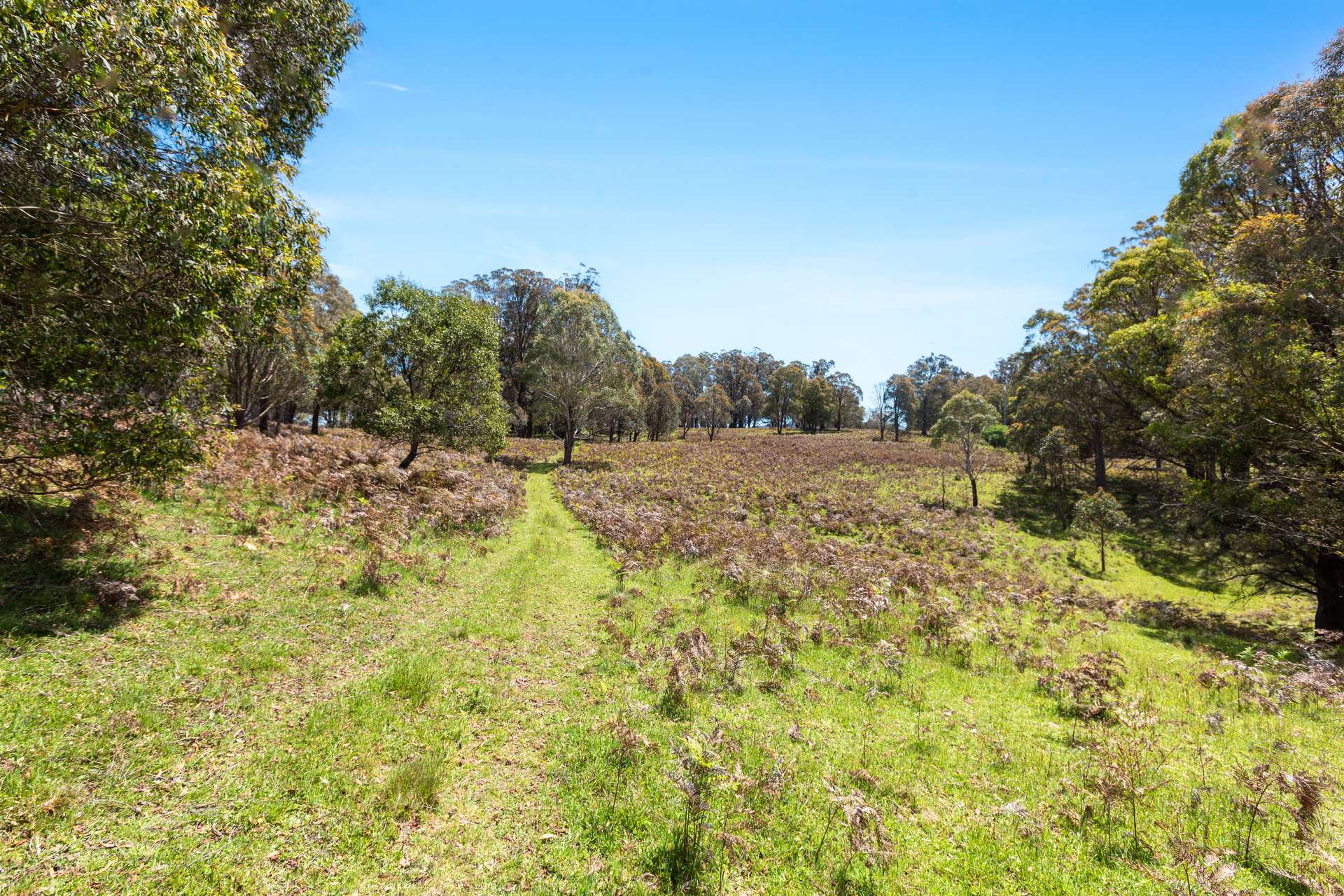 Thornleigh Coolangubra Road, Cathcart For Sale by Farmbuy.com - image 16