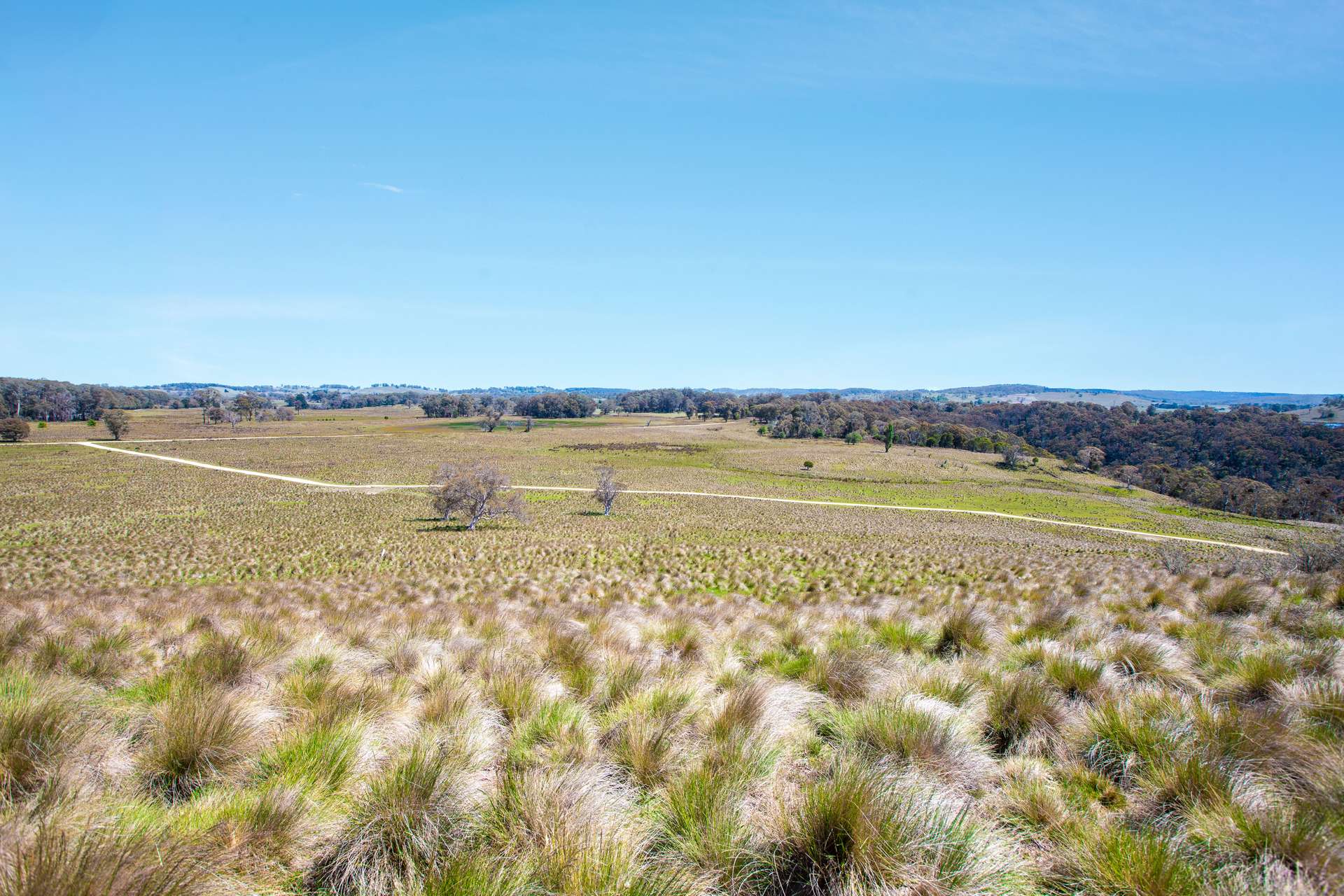 Thornleigh Coolangubra Road, Cathcart For Sale by Farmbuy.com - image 11