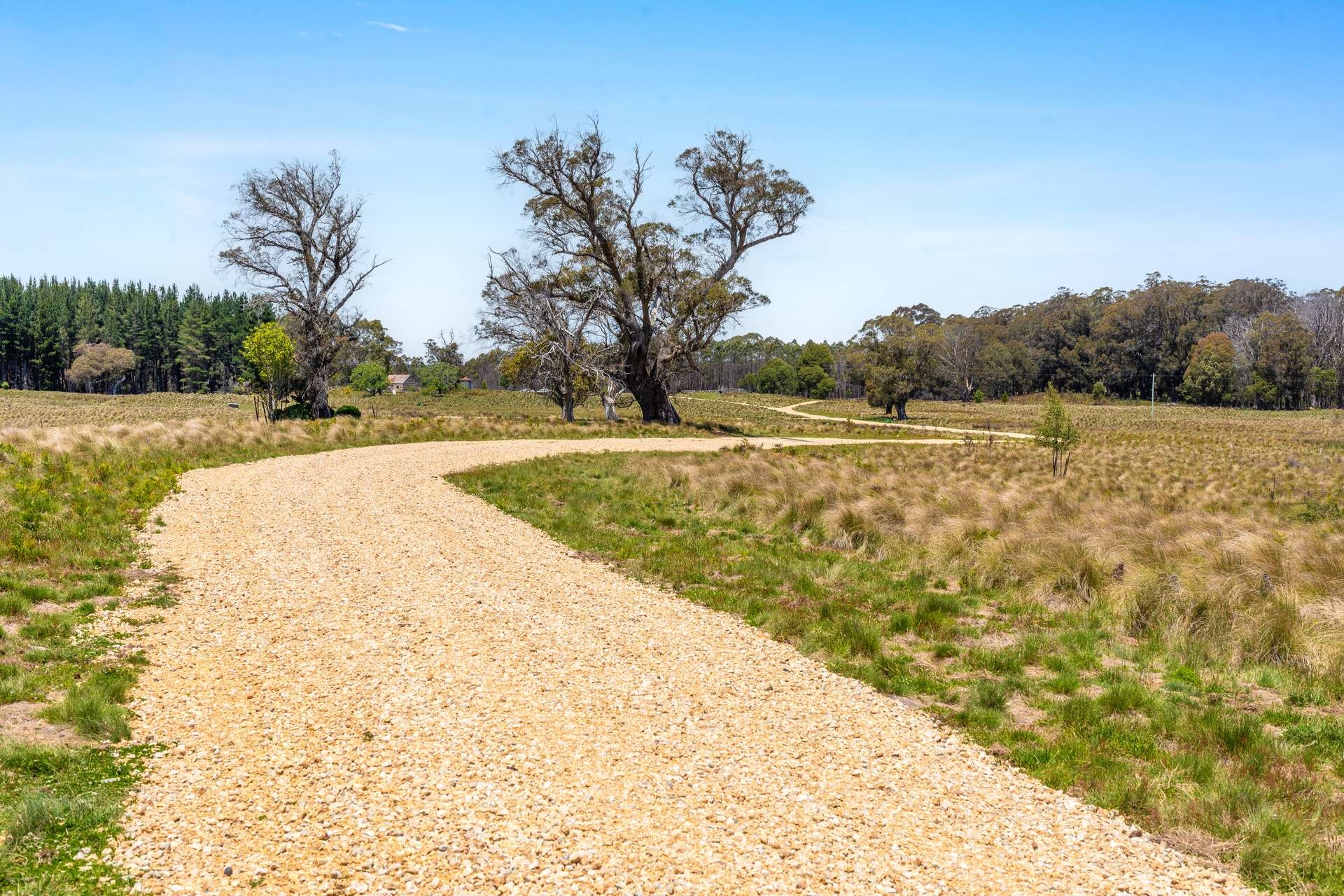 Thornleigh Coolangubra Road, Cathcart For Sale by Farmbuy.com - image 6