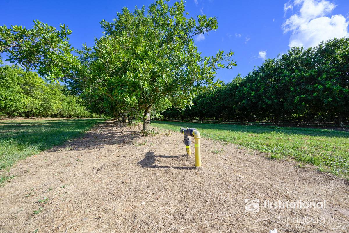 Lot 2, 5, 10, 12,  Eardleys Road, Welcome Creek For Sale by Farmbuy.com - image 9