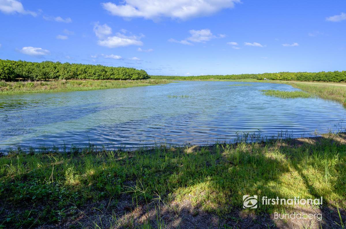 Lot 2, 5, 10, 12,  Eardleys Road, Welcome Creek For Sale by Farmbuy.com - image 6