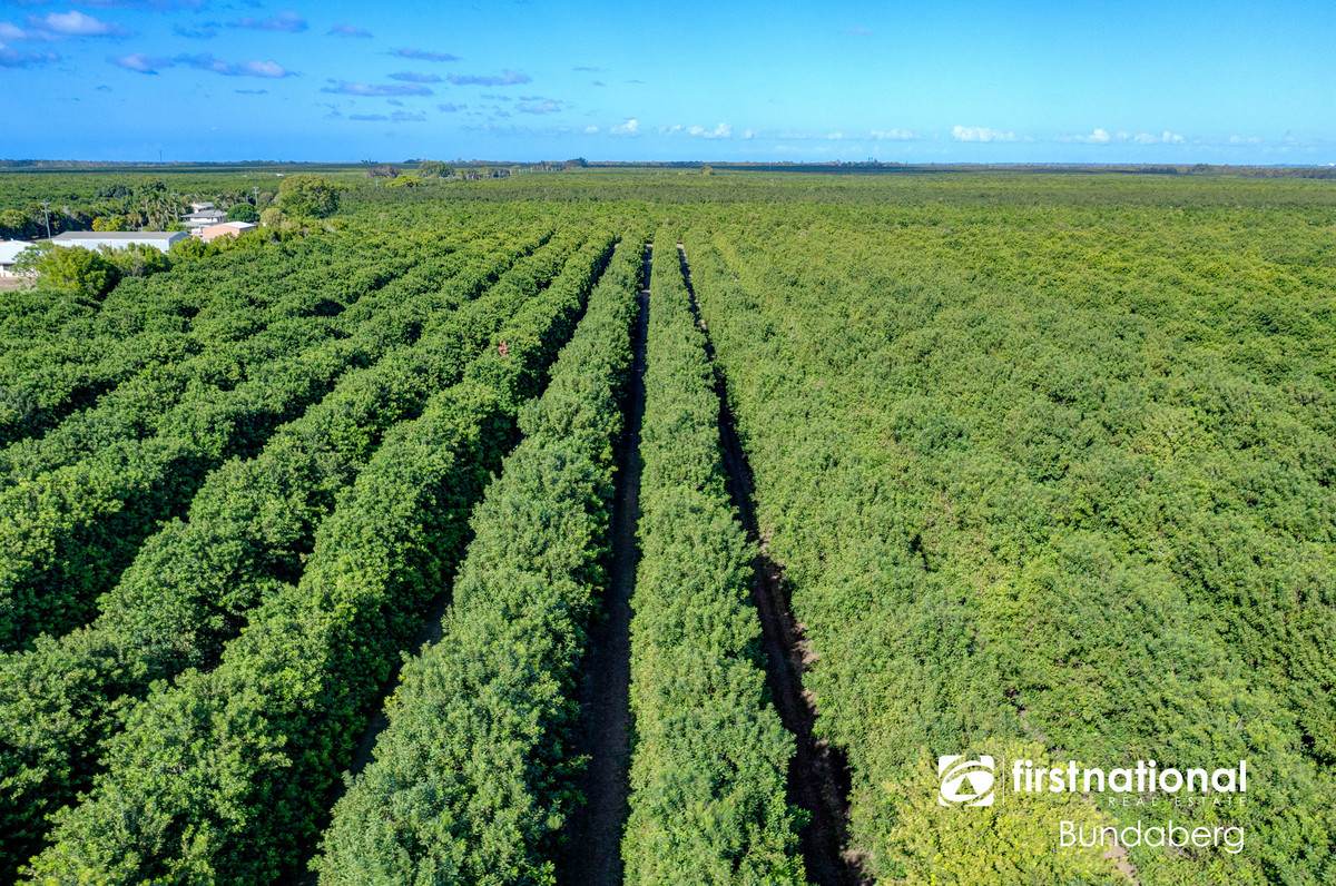 Lot 2, 5, 10, 12,  Eardleys Road, Welcome Creek For Sale by Farmbuy.com - image 4
