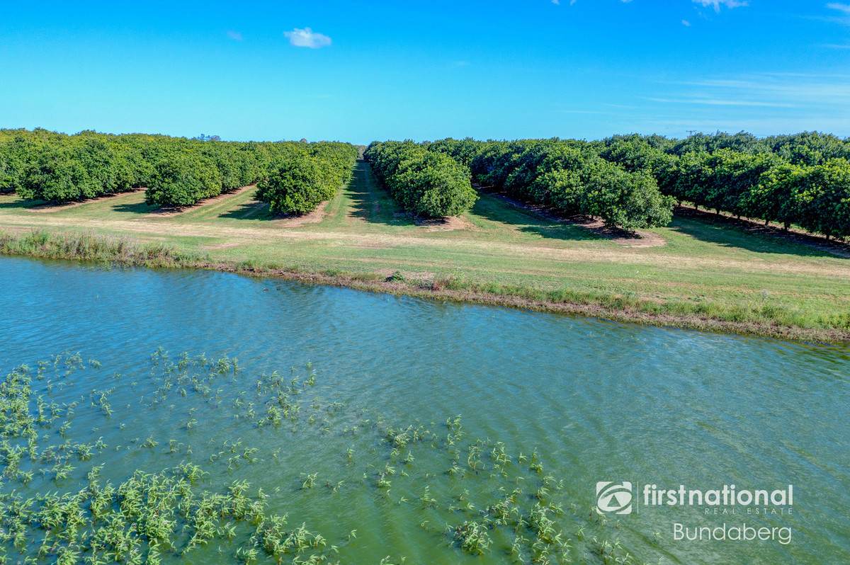 Lot 2, 5, 10, 12,  Eardleys Road, Welcome Creek For Sale by Farmbuy.com - image 22