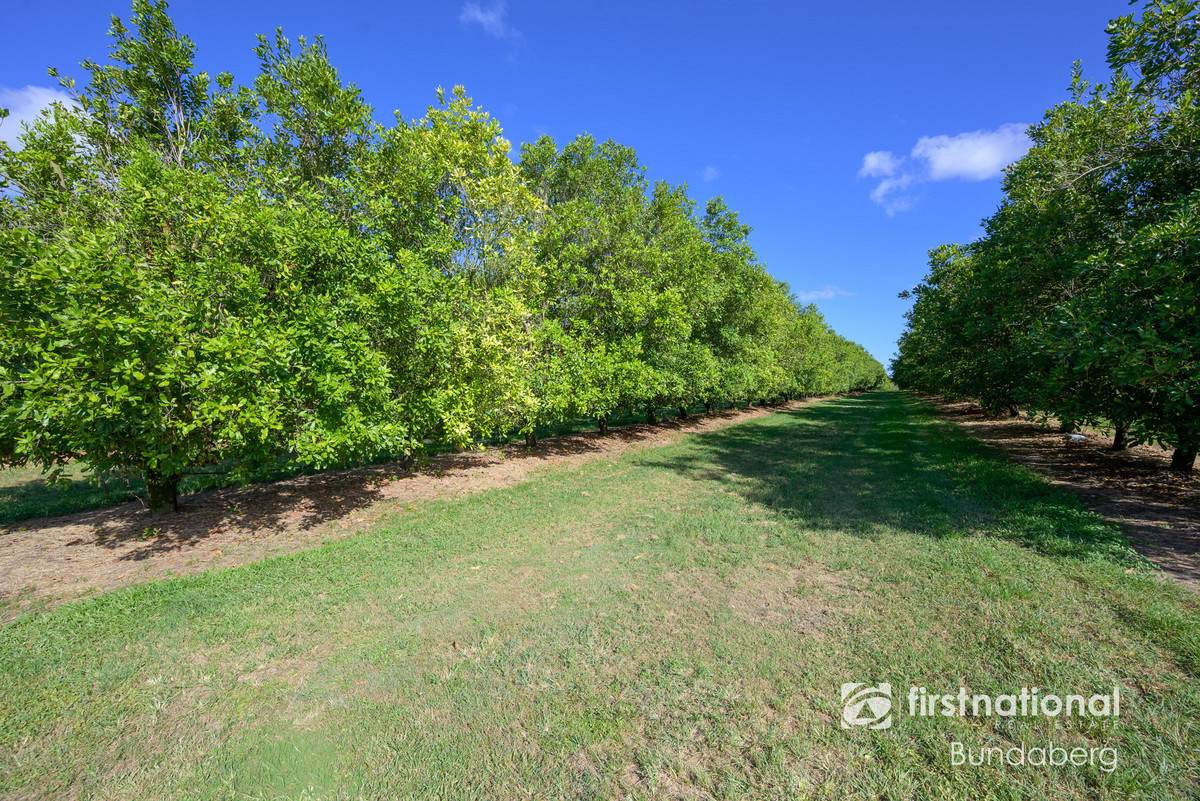 Lot 2, 5, 10, 12,  Eardleys Road, Welcome Creek For Sale by Farmbuy.com - image 8