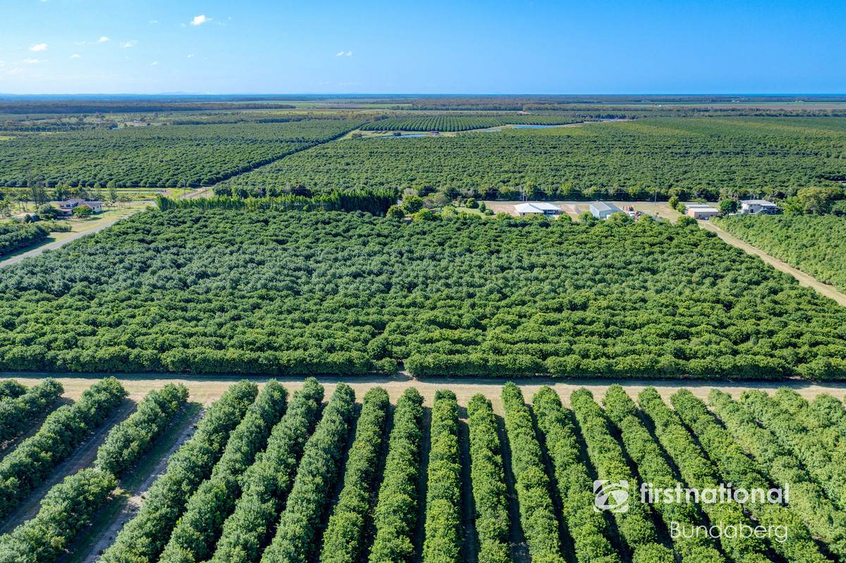 Lot 2, 5, 10, 12,  Eardleys Road, Welcome Creek For Sale by Farmbuy.com - image 21