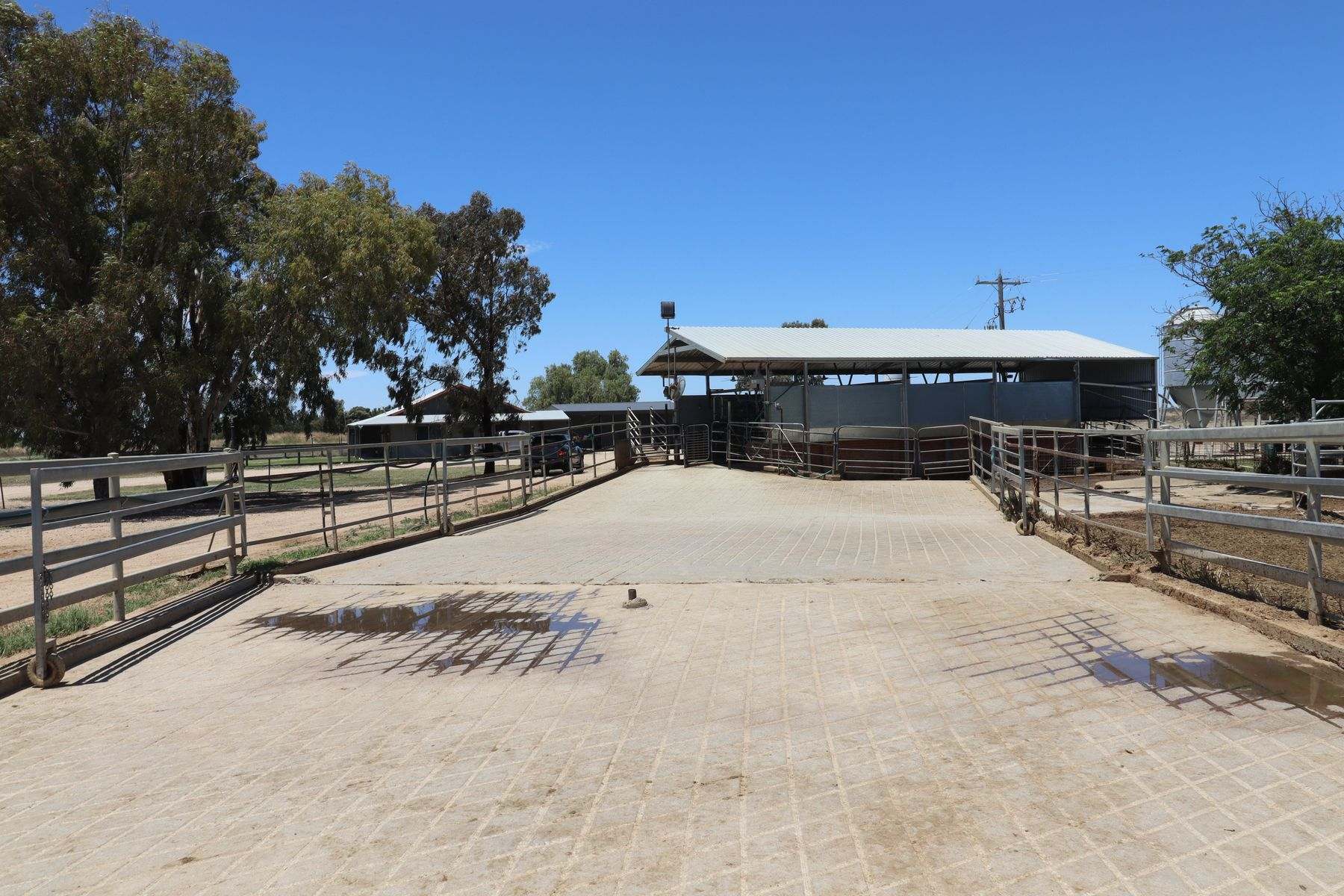1899 Leitchville-Kerang Road, Macorna North Sold by Farmbuy.com - image 3