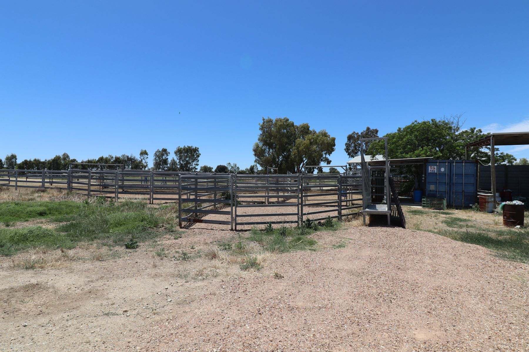 1899 Leitchville-Kerang Road, Macorna North Sold by Farmbuy.com - image 5