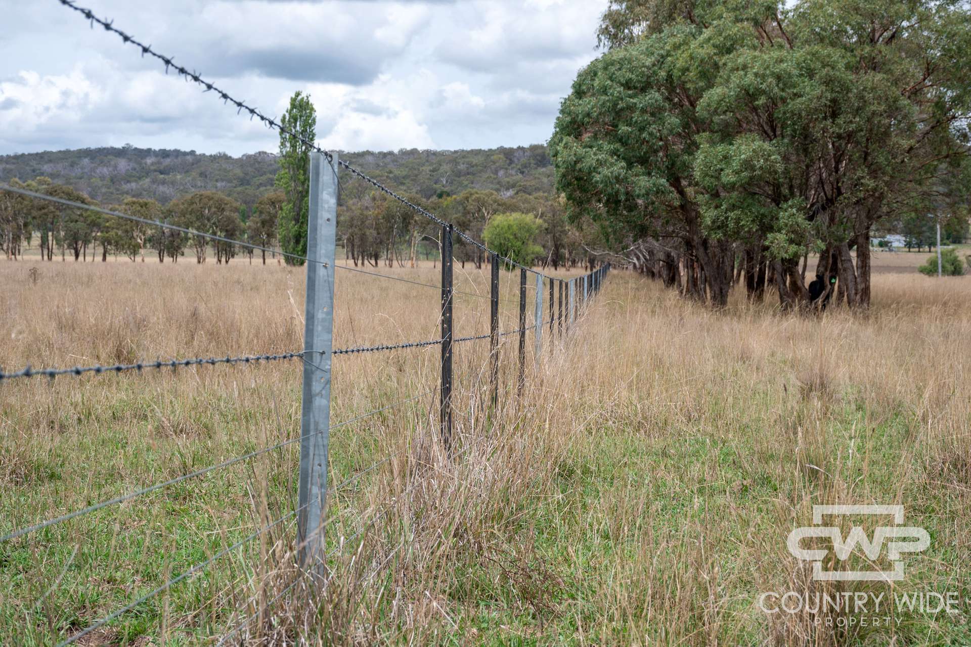 638 Furracabad Road, Glen Innes For Sale by Farmbuy.com - image 23