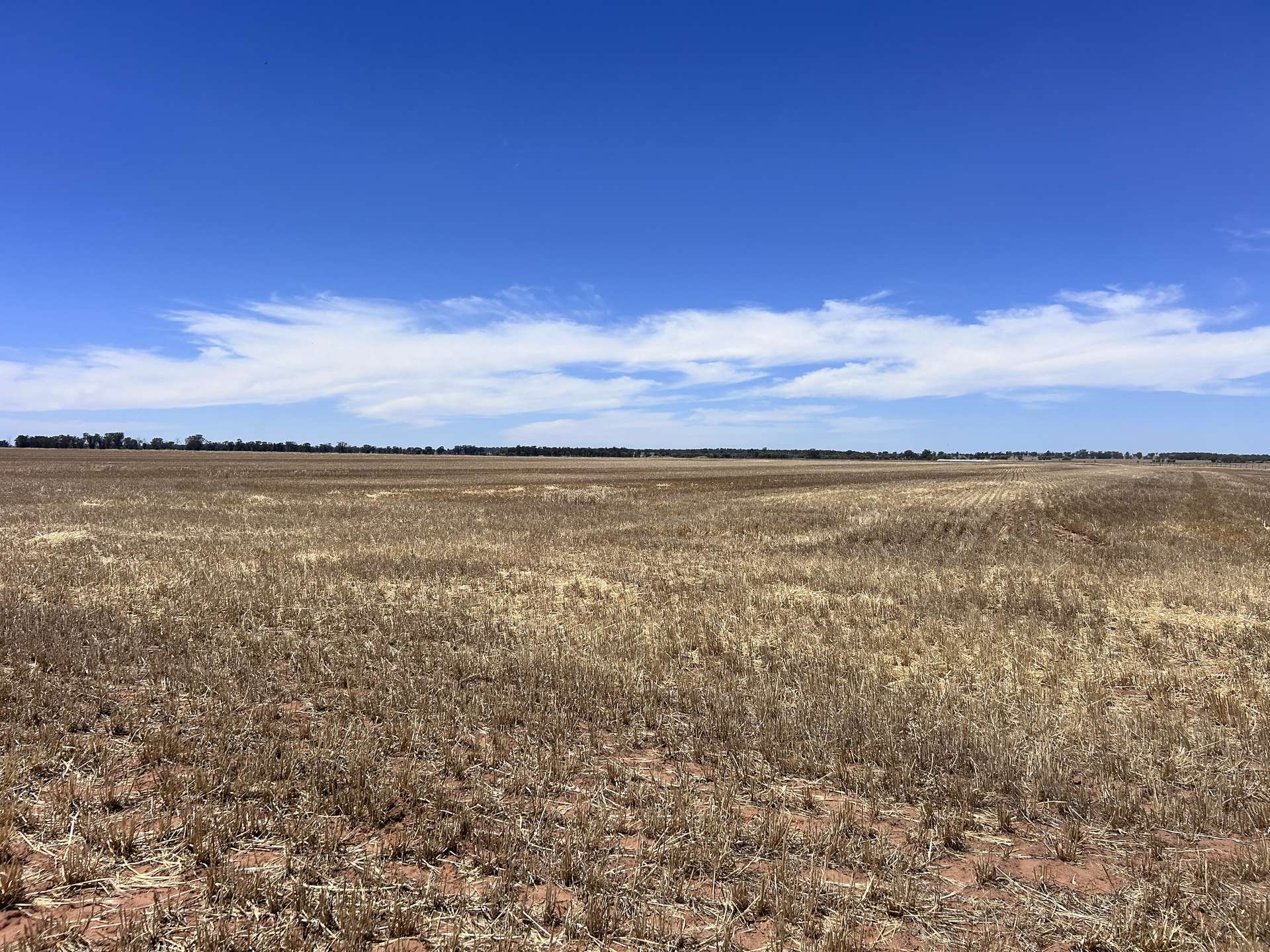 958 Yarrabandai Road, Forbes Sold by Farmbuy.com - image 2