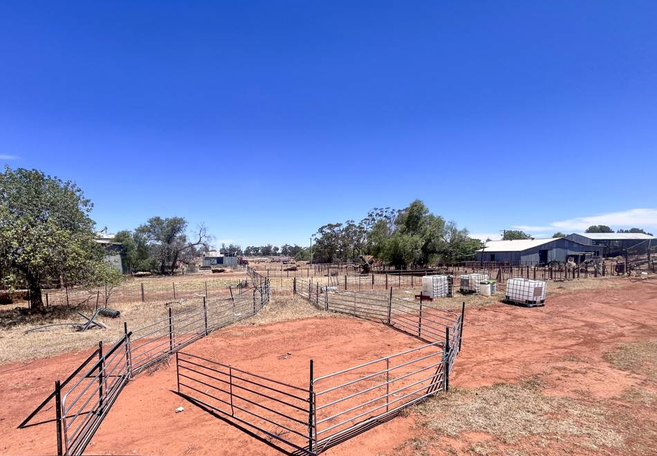 958 Yarrabandai Road, Forbes Sold by Farmbuy.com - image 5