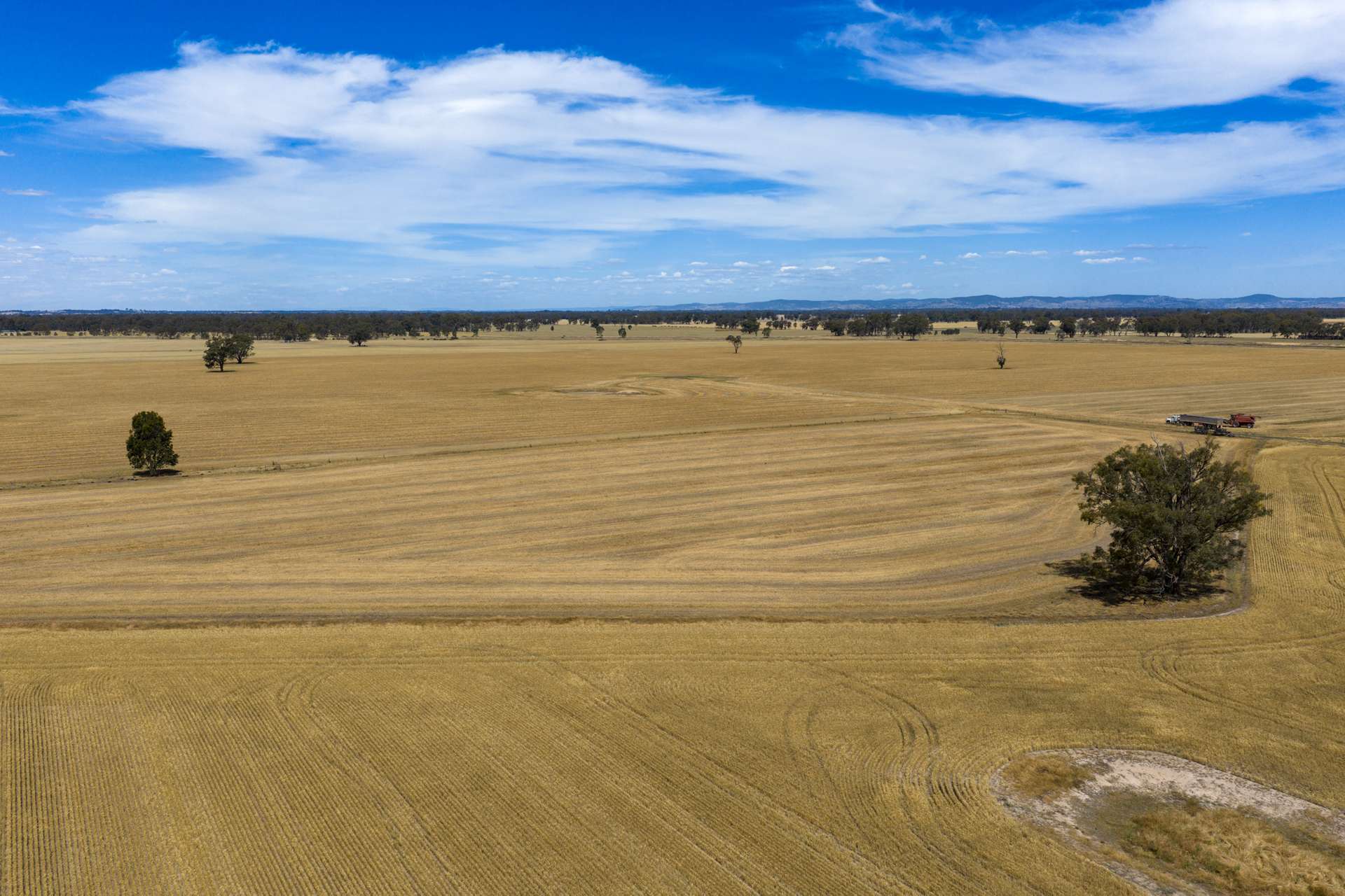 600 Trevaskis Road, Kialla East For Sale by Farmbuy.com - image 5