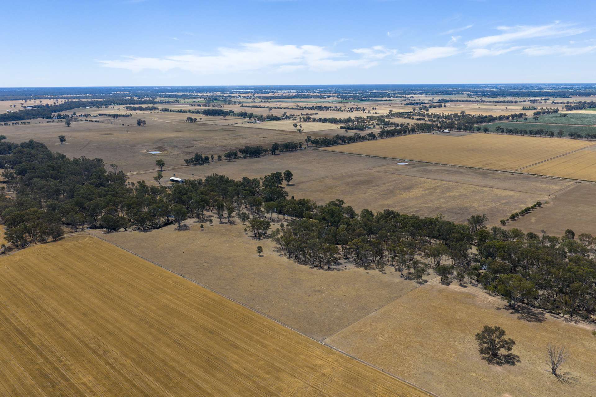 555 Trevaskis Road, Kialla East Sold by Farmbuy.com - image 13