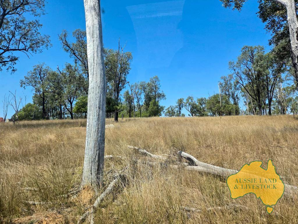 110 BENHAMS ROAD, Mundubbera For Sale by Farmbuy.com - image 34