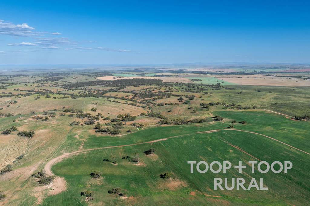 Goyder Road, Frankton SA 5374