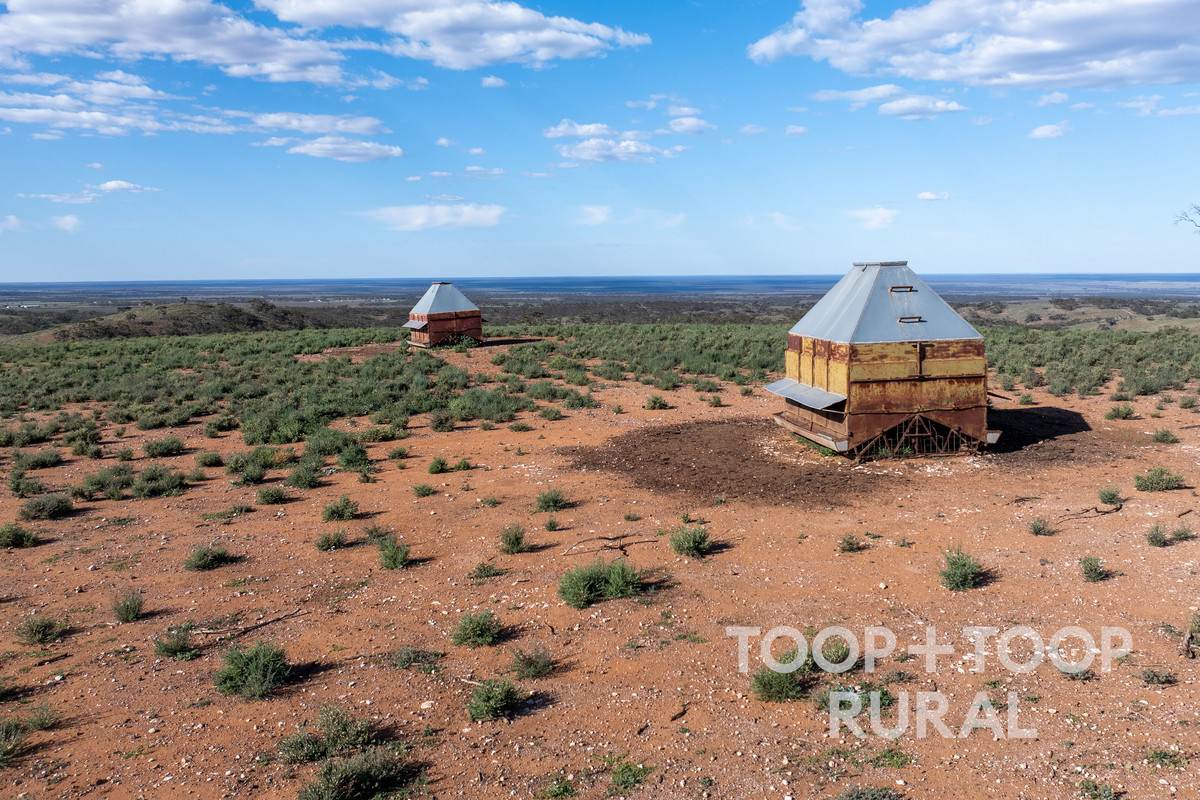 Goyder Road, Frankton For Sale by Farmbuy.com - image 5