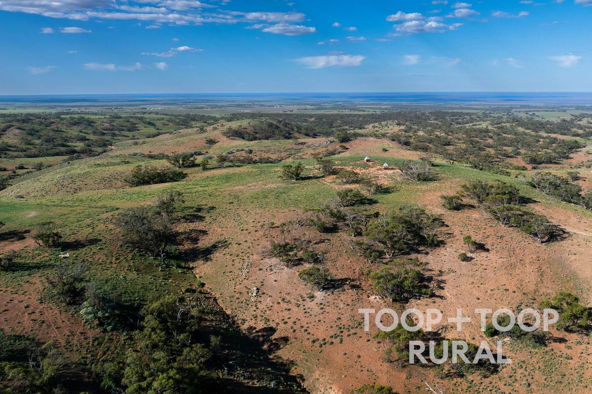 Goyder Road, Frankton For Sale by Farmbuy.com - image 6