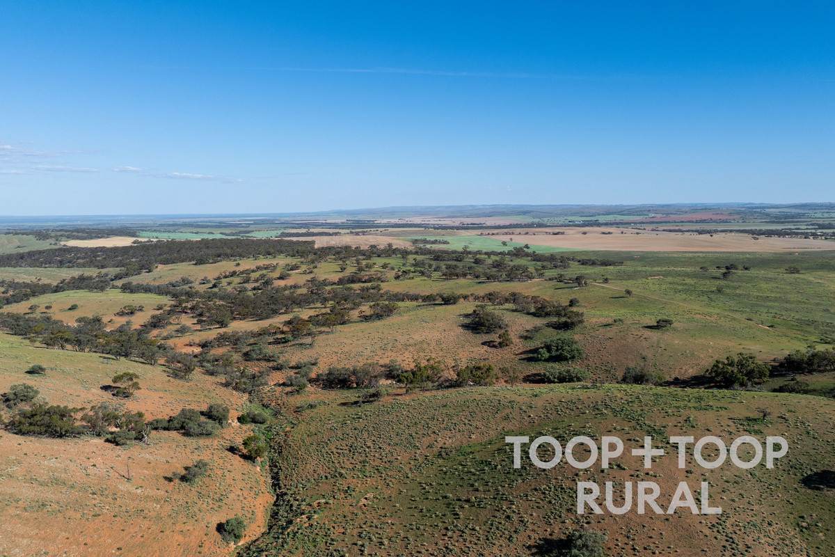 Goyder Road, Frankton For Sale by Farmbuy.com - image 10