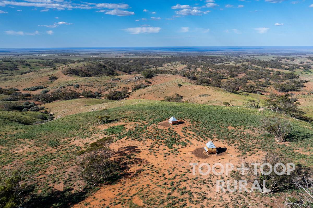Goyder Road, Frankton For Sale by Farmbuy.com - image 4