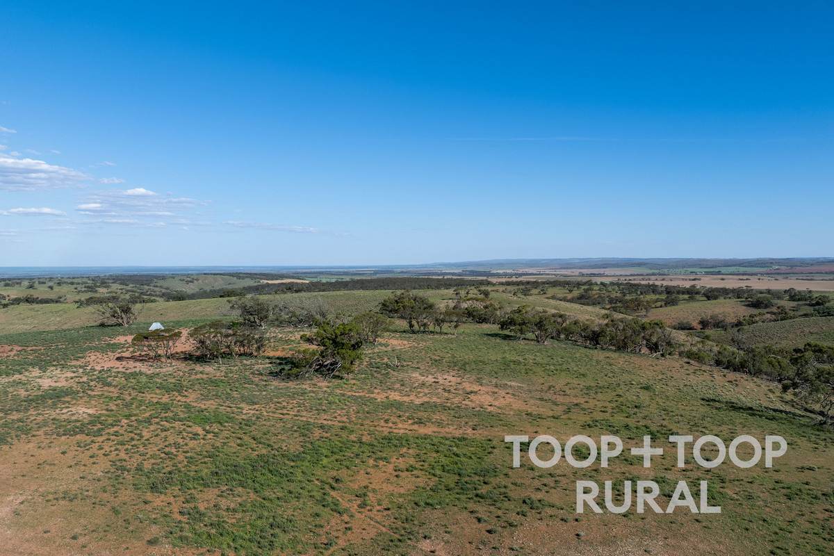 Goyder Road, Frankton For Sale by Farmbuy.com - image 16