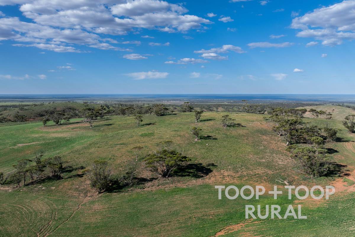 Goyder Road, Frankton For Sale by Farmbuy.com - image 13
