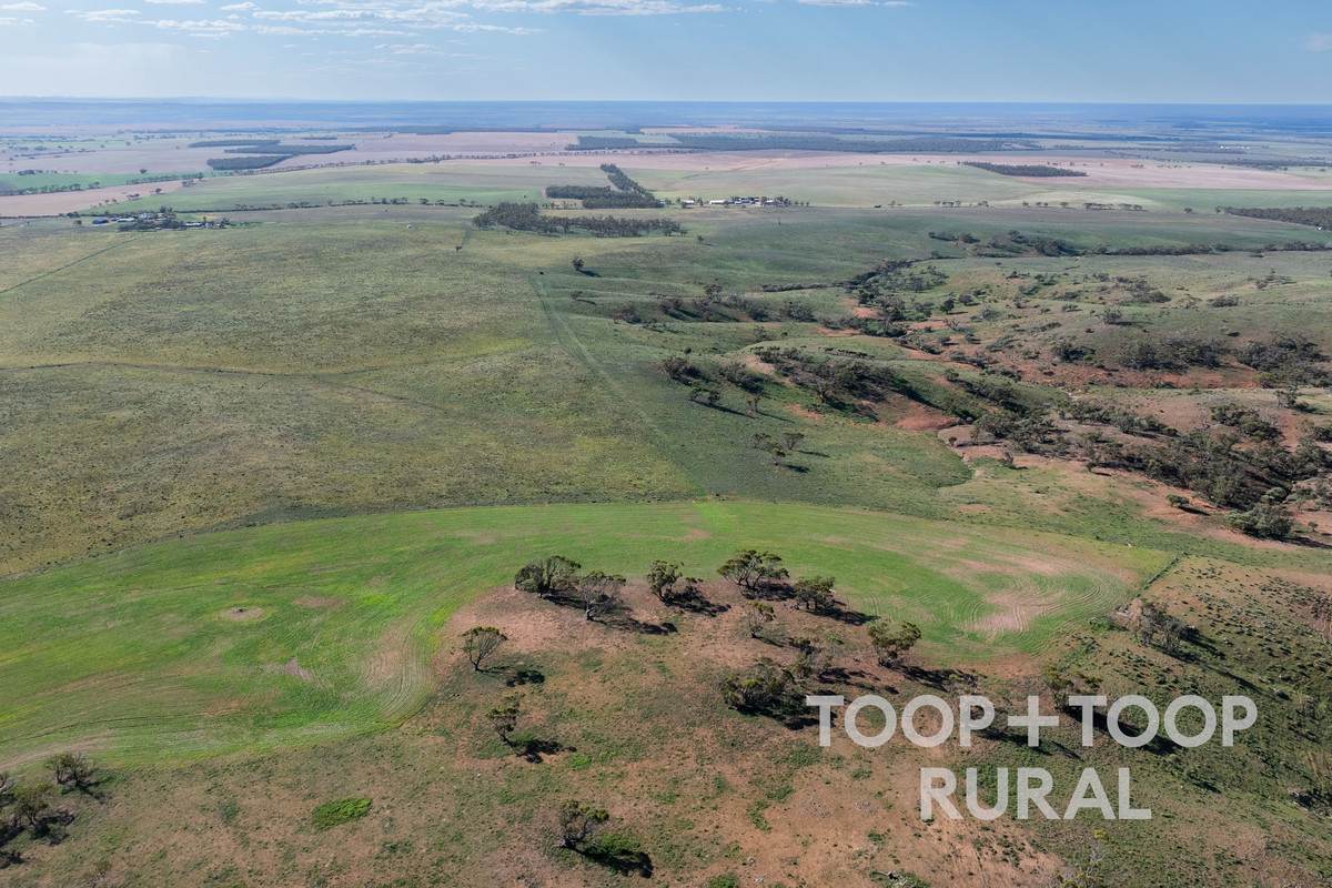 Goyder Road, Frankton For Sale by Farmbuy.com - image 11