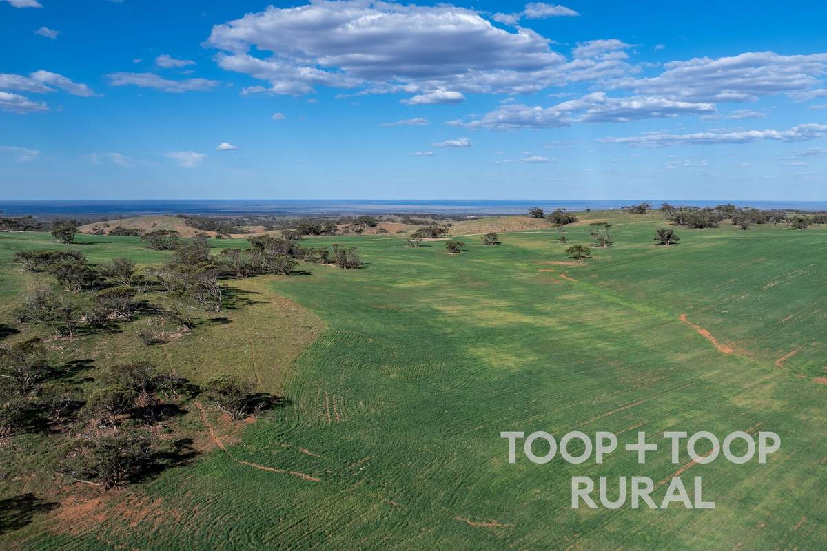 Goyder Road, Frankton For Sale by Farmbuy.com - image 15
