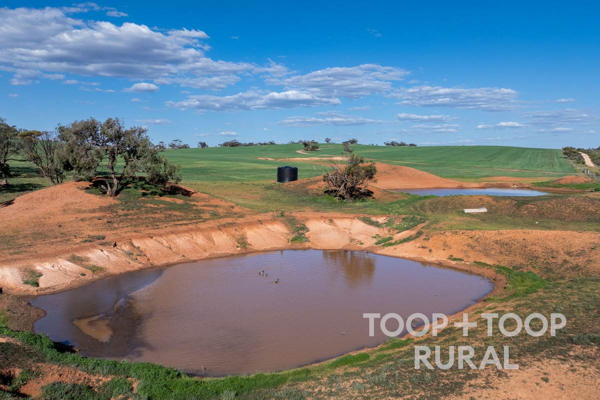 Goyder Road, Frankton For Sale by Farmbuy.com - image 3