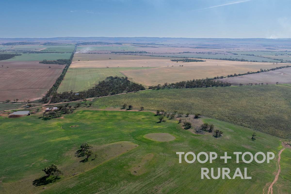 Goyder Road, Frankton For Sale by Farmbuy.com - image 10