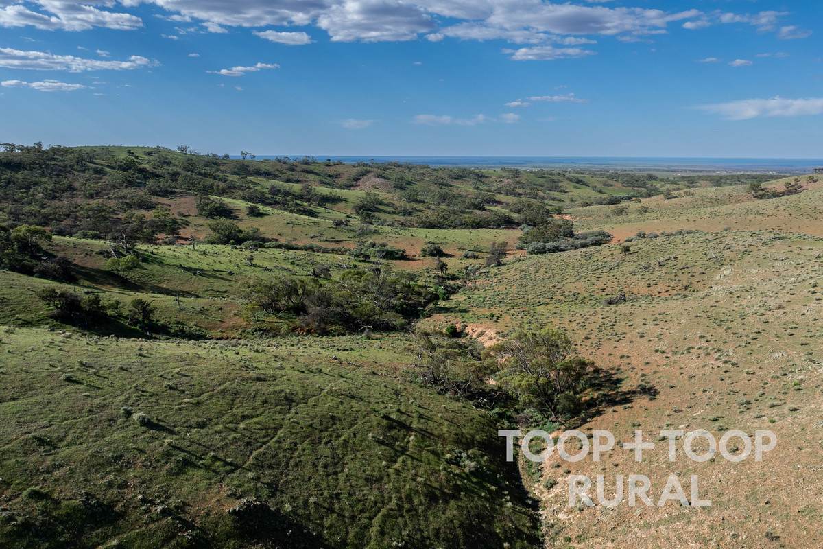 Goyder Road, Frankton For Sale by Farmbuy.com - image 17