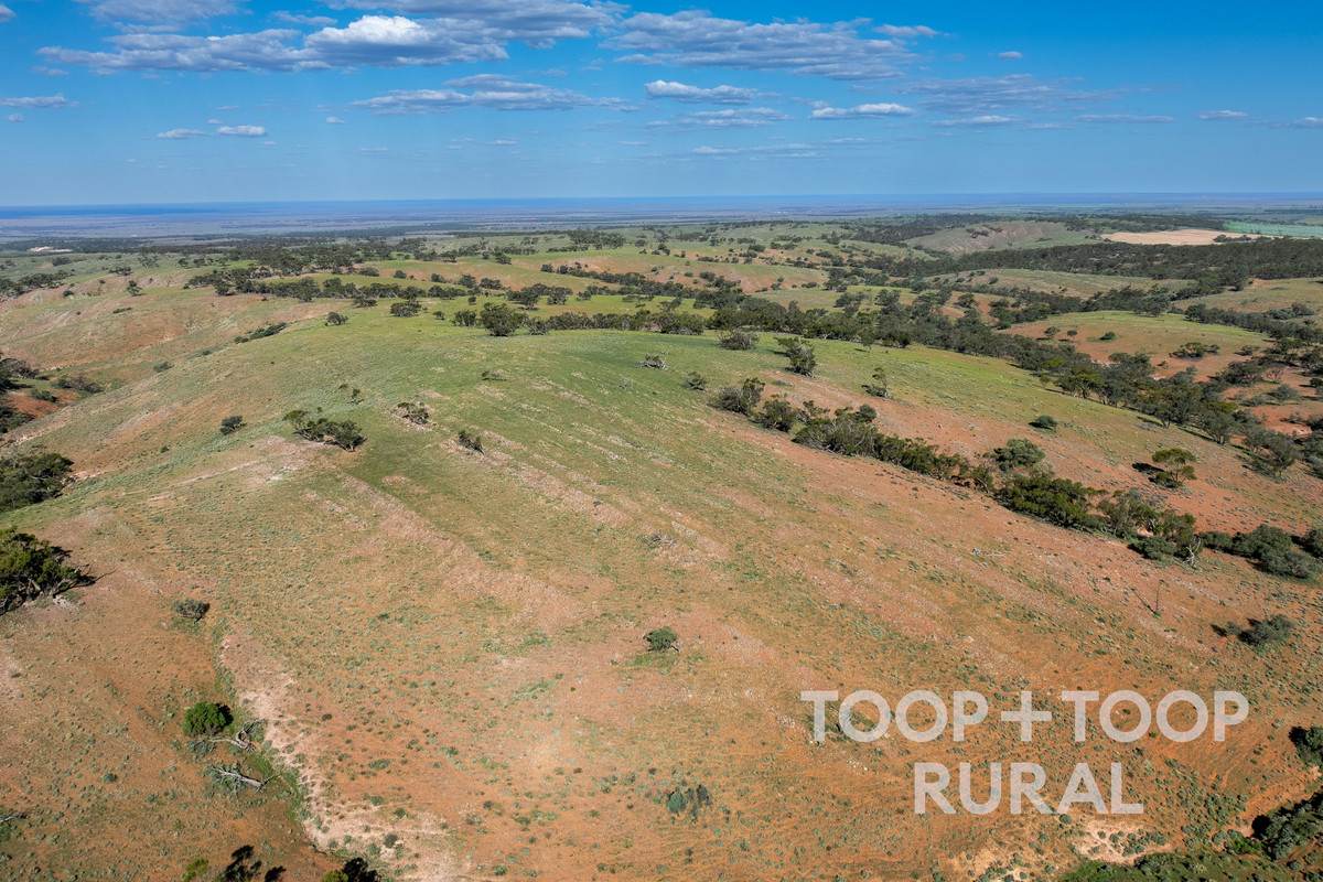 Goyder Road, Frankton For Sale by Farmbuy.com - image 7