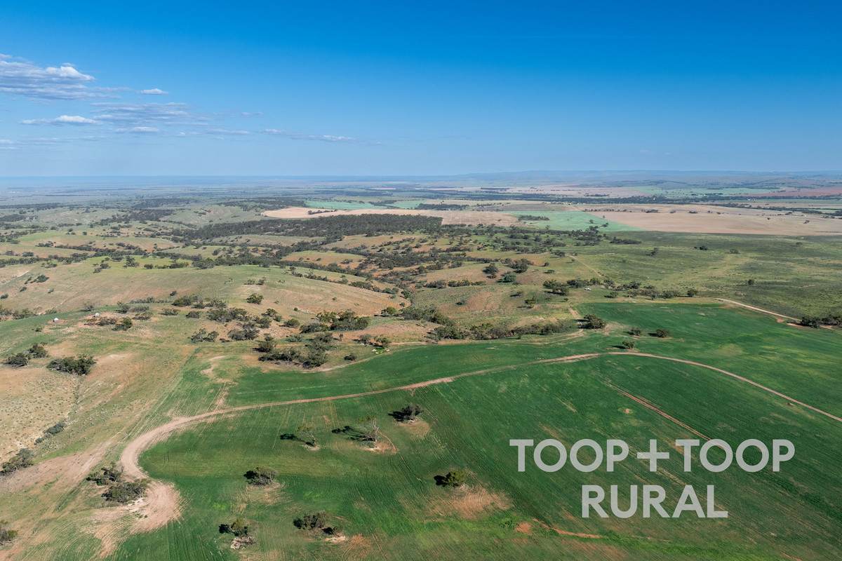 Goyder Road, Frankton For Sale by Farmbuy.com - image 1