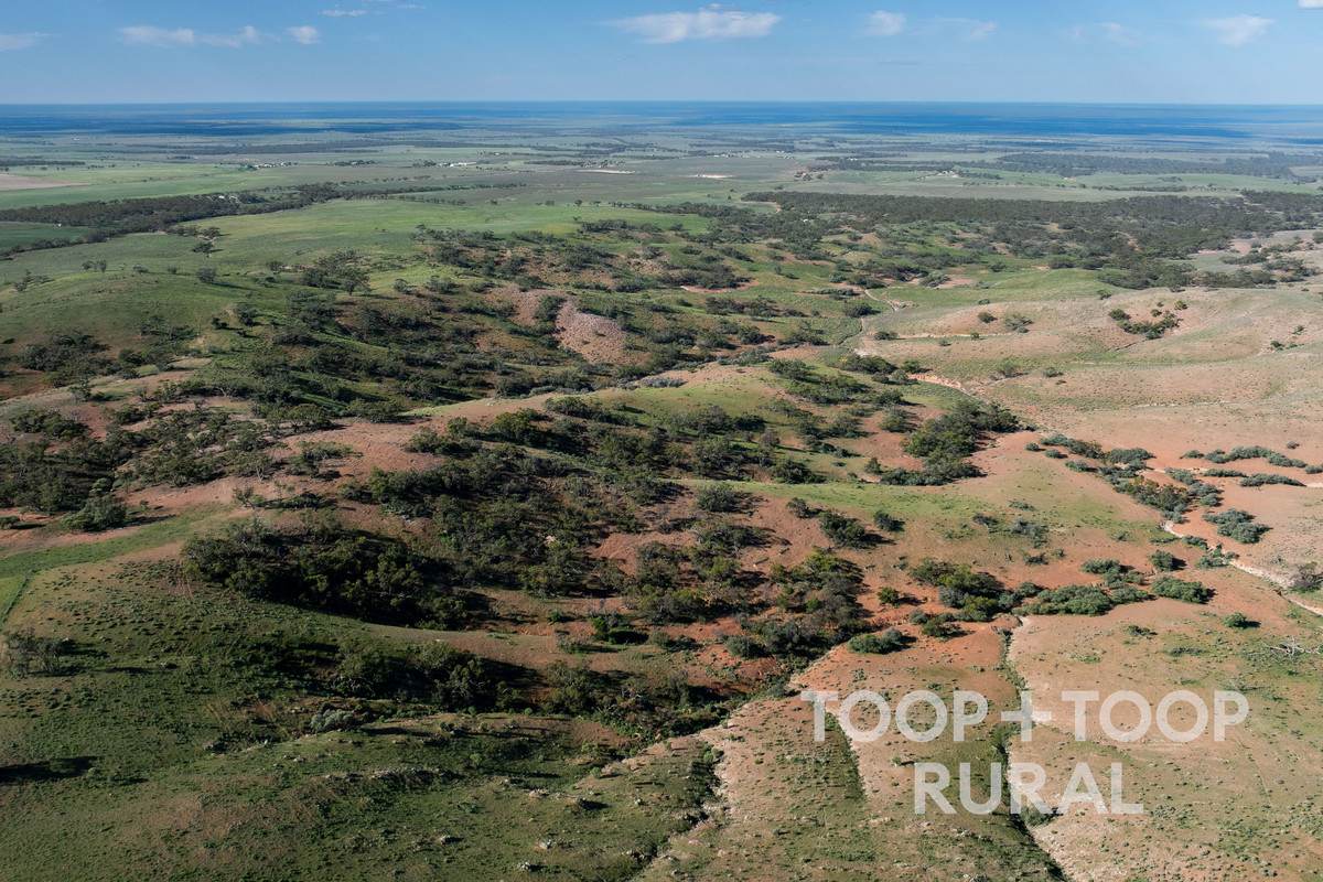 Goyder Road, Frankton For Sale by Farmbuy.com - image 12