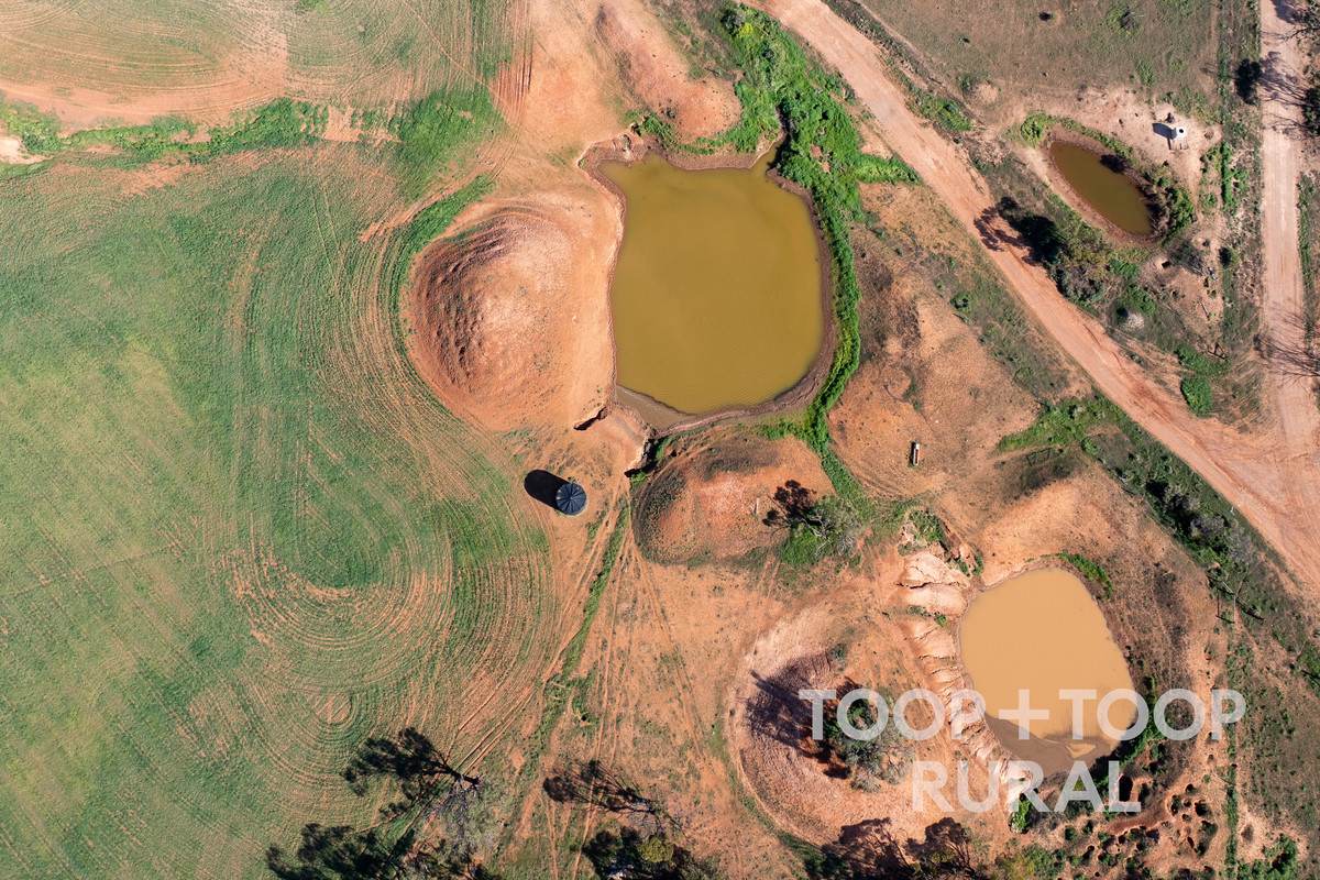 Goyder Road, Frankton For Sale by Farmbuy.com - image 9