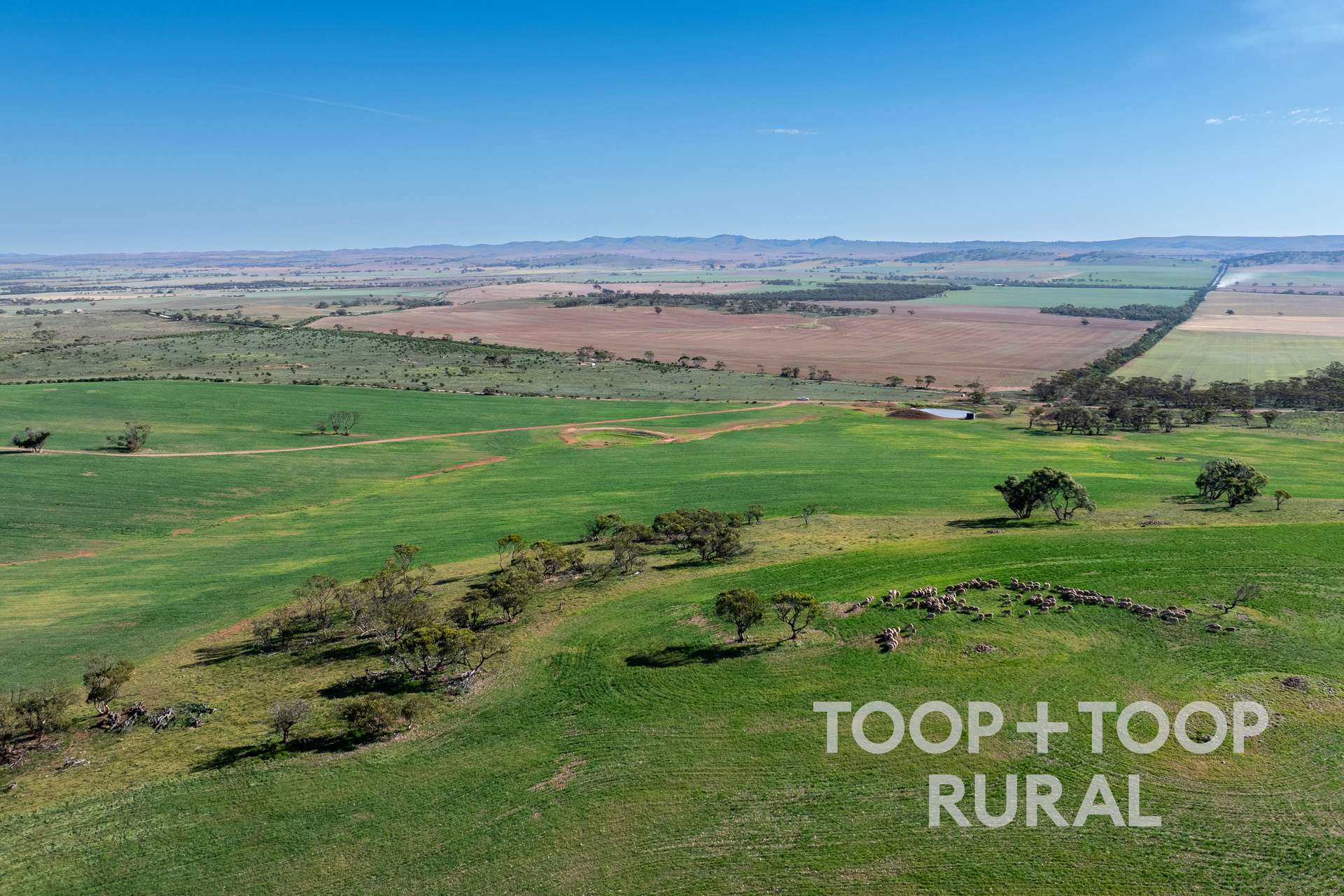 Goyder Road, Frankton For Sale by Farmbuy.com - image 2