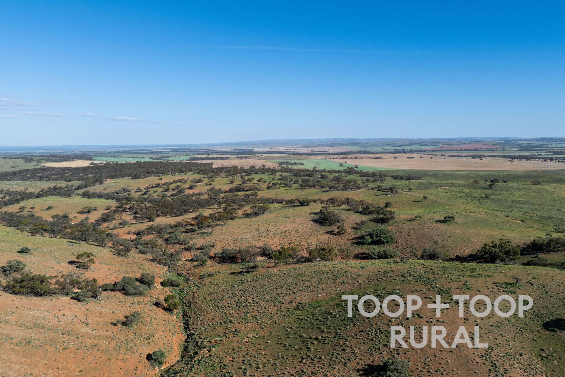 Goyder Road, Frankton For Sale by Farmbuy.com - image 8