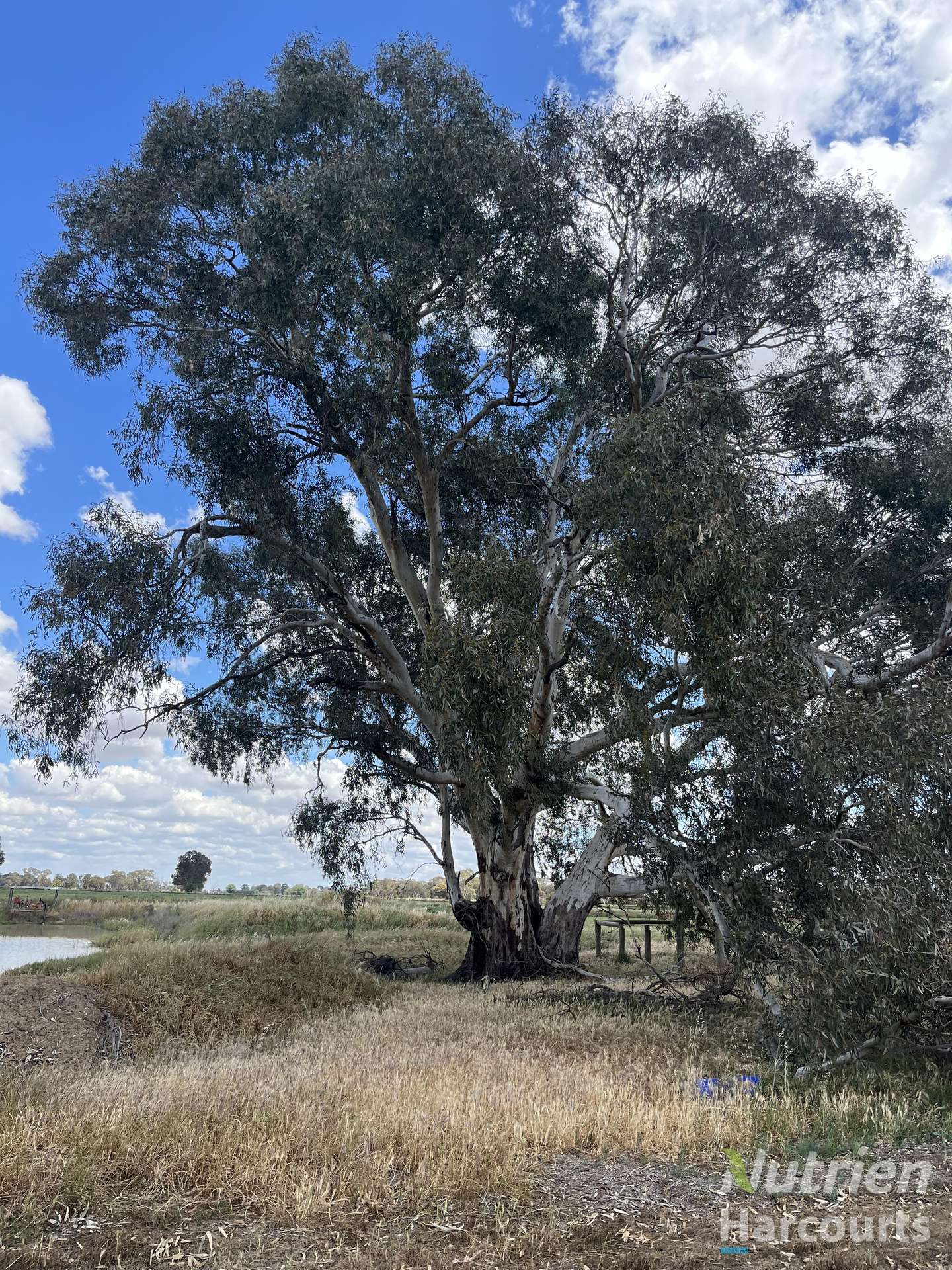 . Echuca Nanneella Road, Nanneella For Sale by Farmbuy.com - image 14