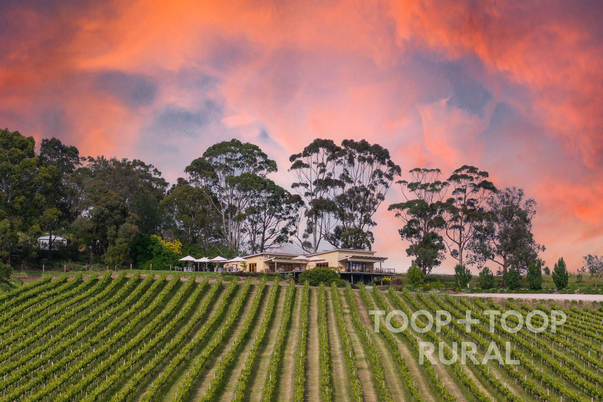 407 Croft Road, Lenswood For Sale by Farmbuy.com - image 3