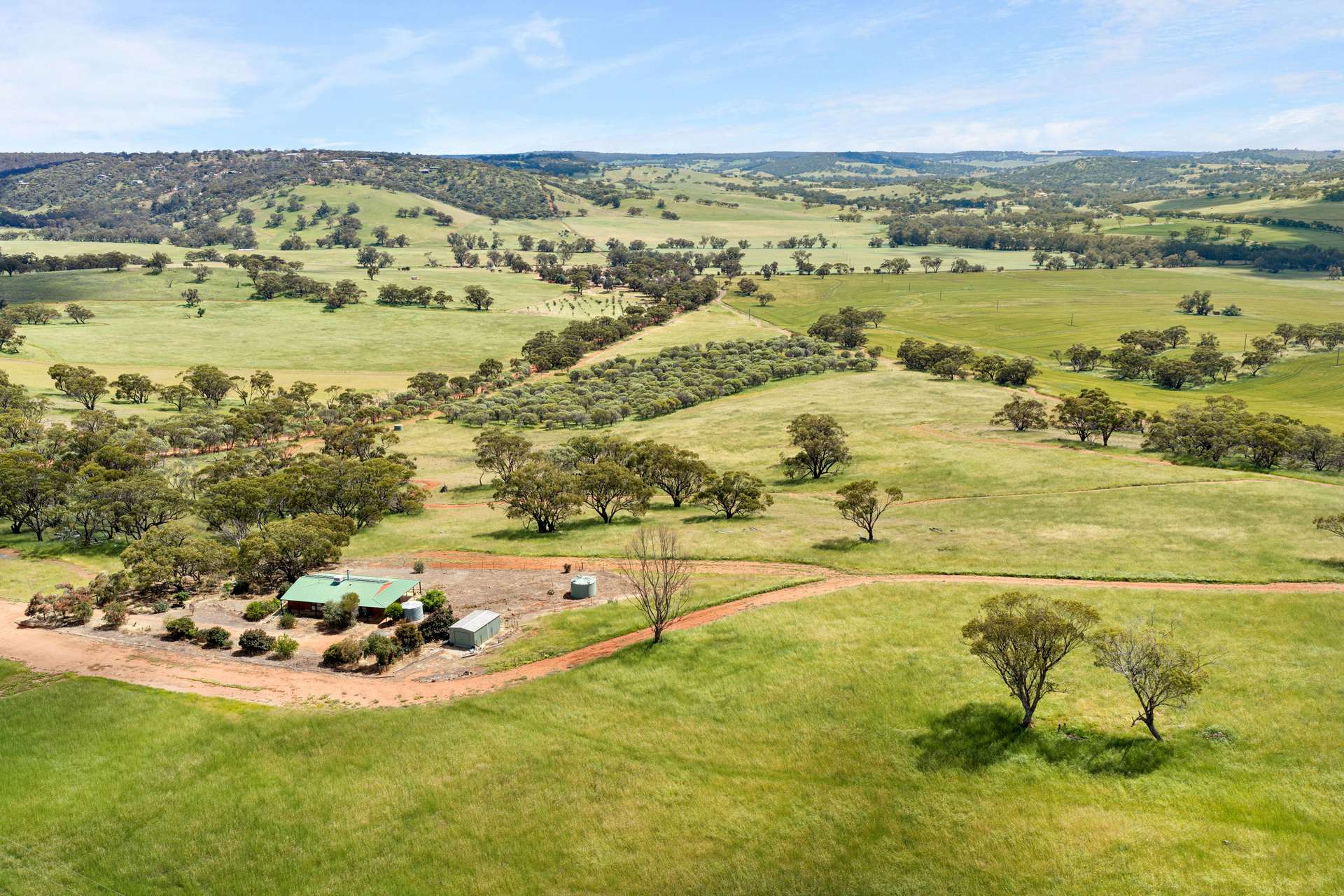 211 Picnic Hill Road, Coondle Sold by Farmbuy.com - image 10