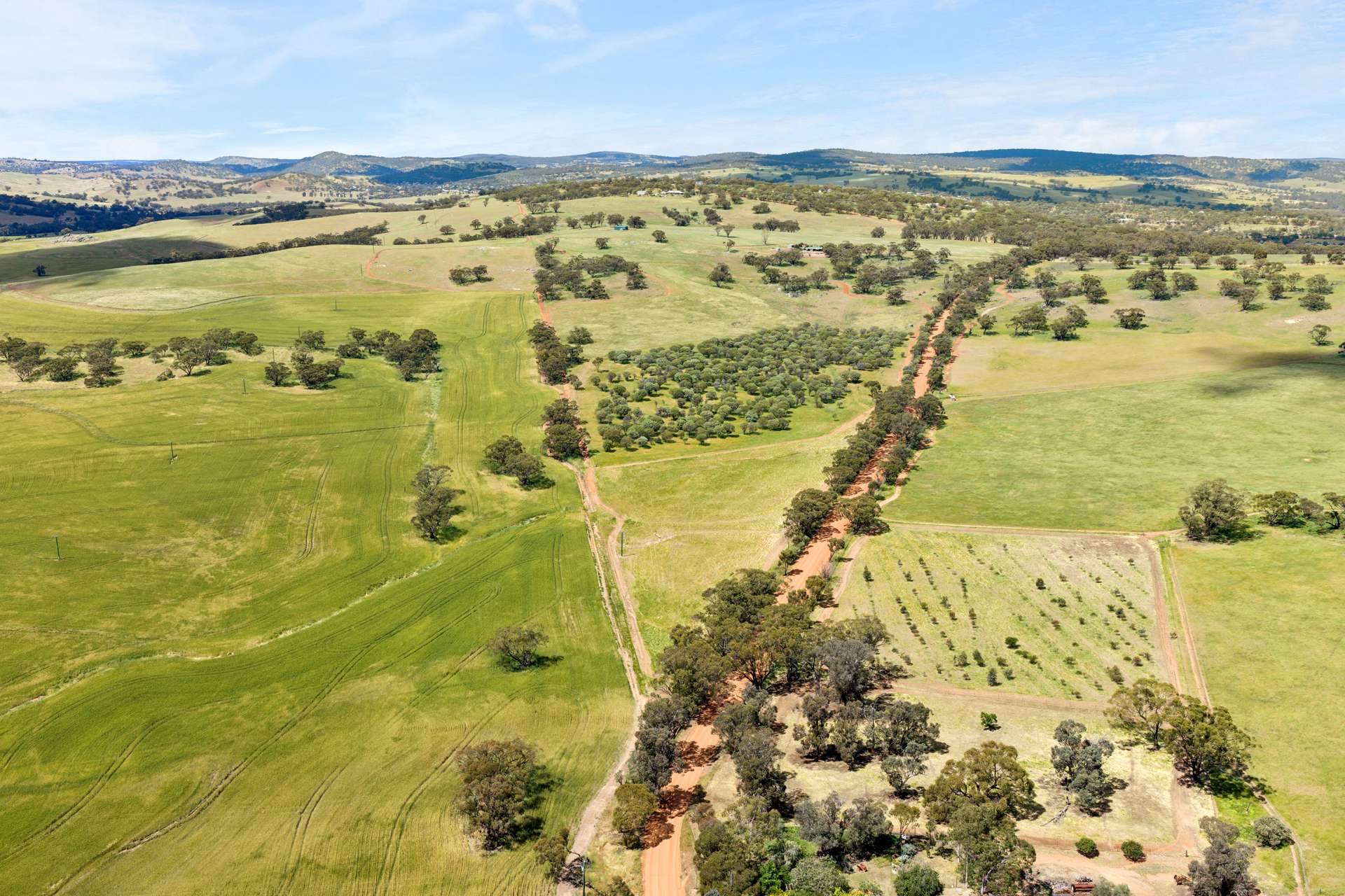 211 Picnic Hill Road, Coondle Sold by Farmbuy.com - image 6